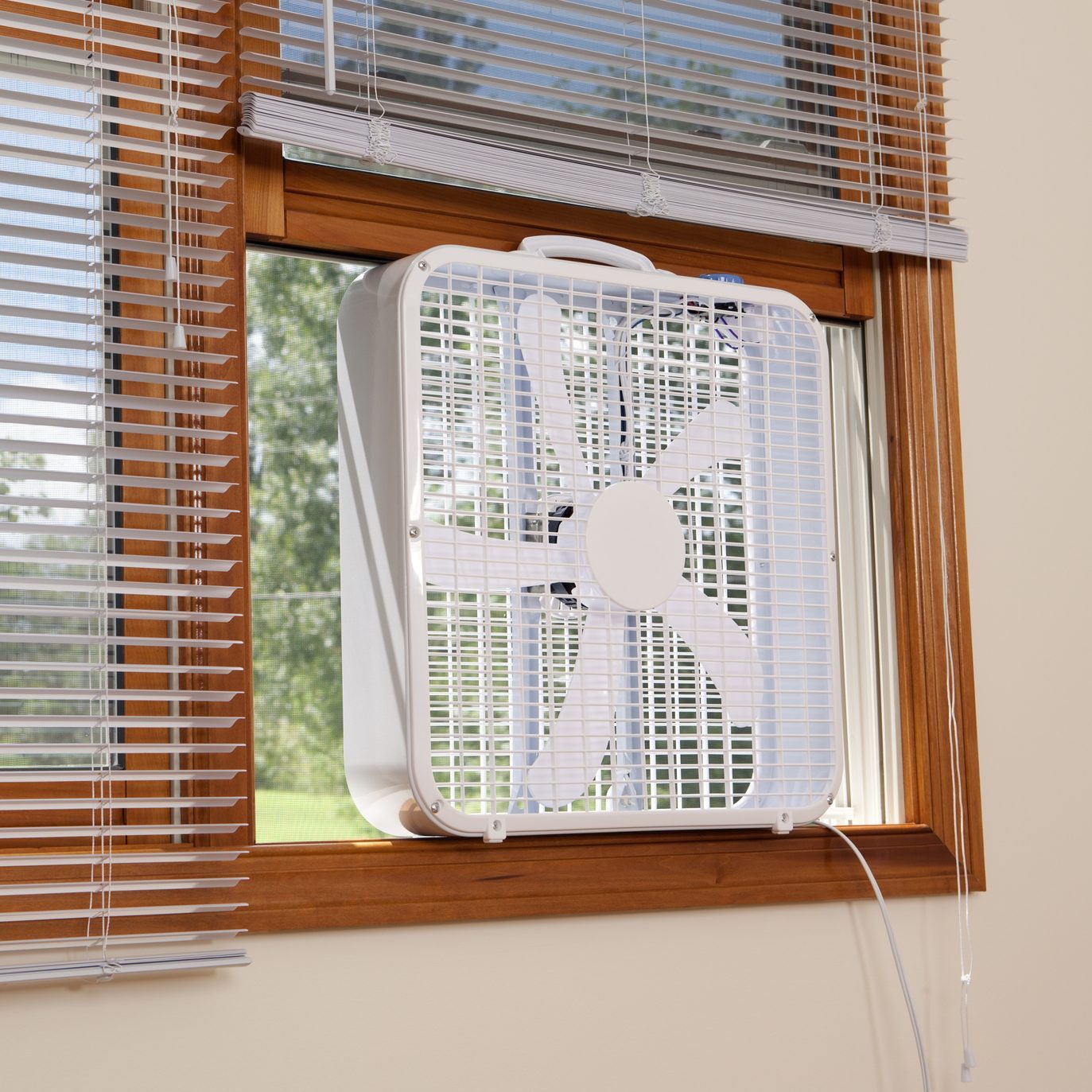 Homeowner's Guide To Box Fans