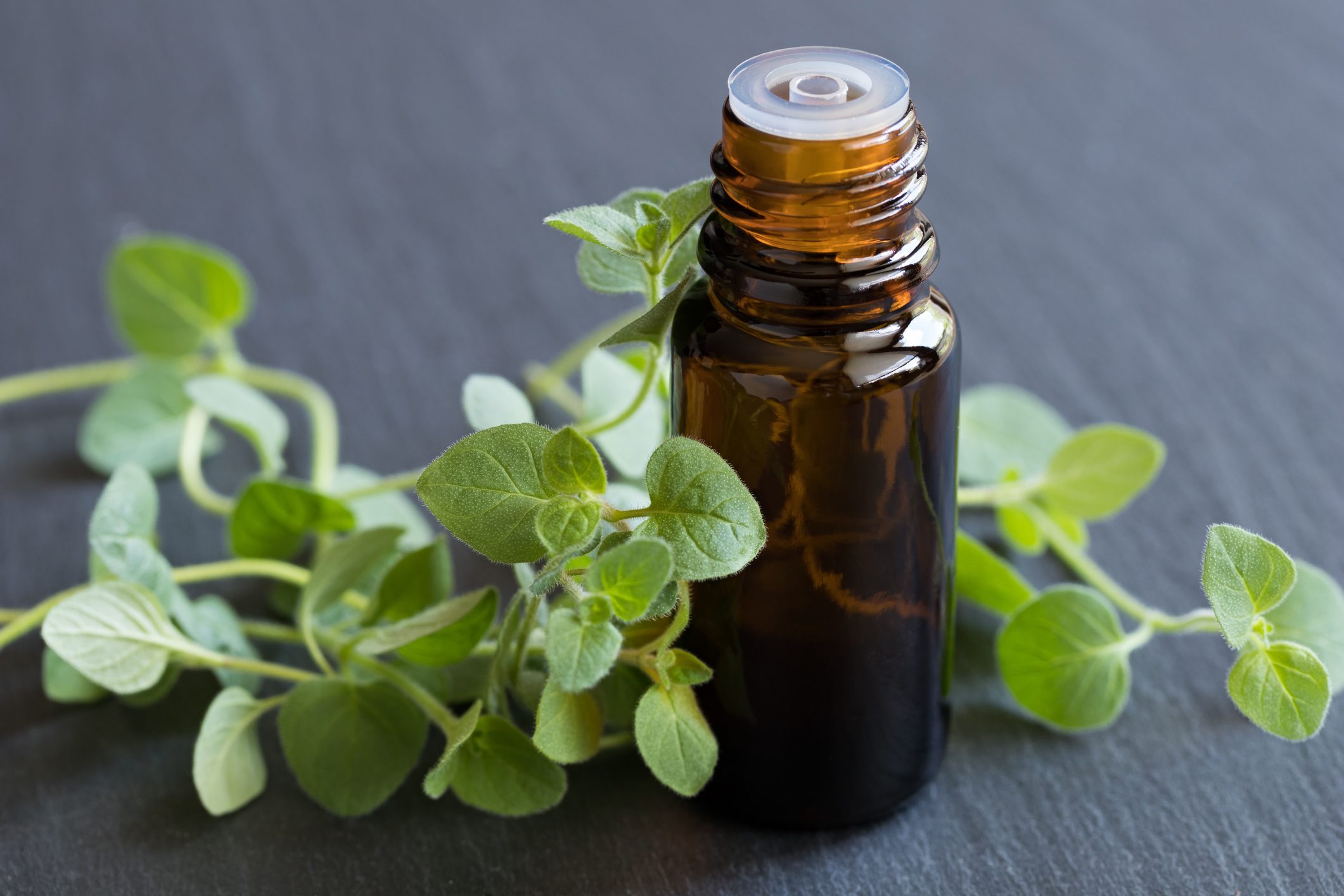 A bottle of oregano essential oil