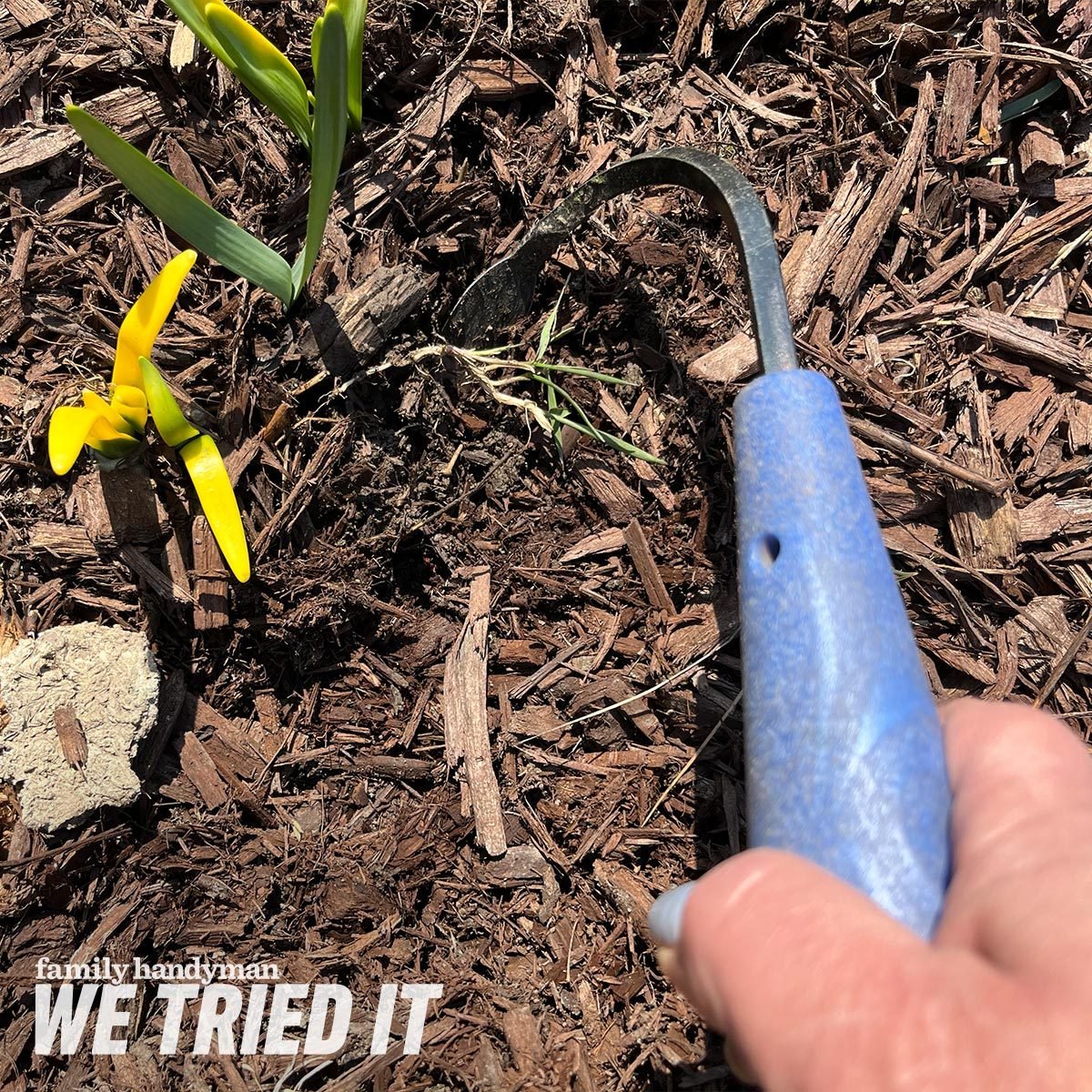 CobraHead Weeder and Cultivator: A Must-Have for Your Garden! (We Tried It!)