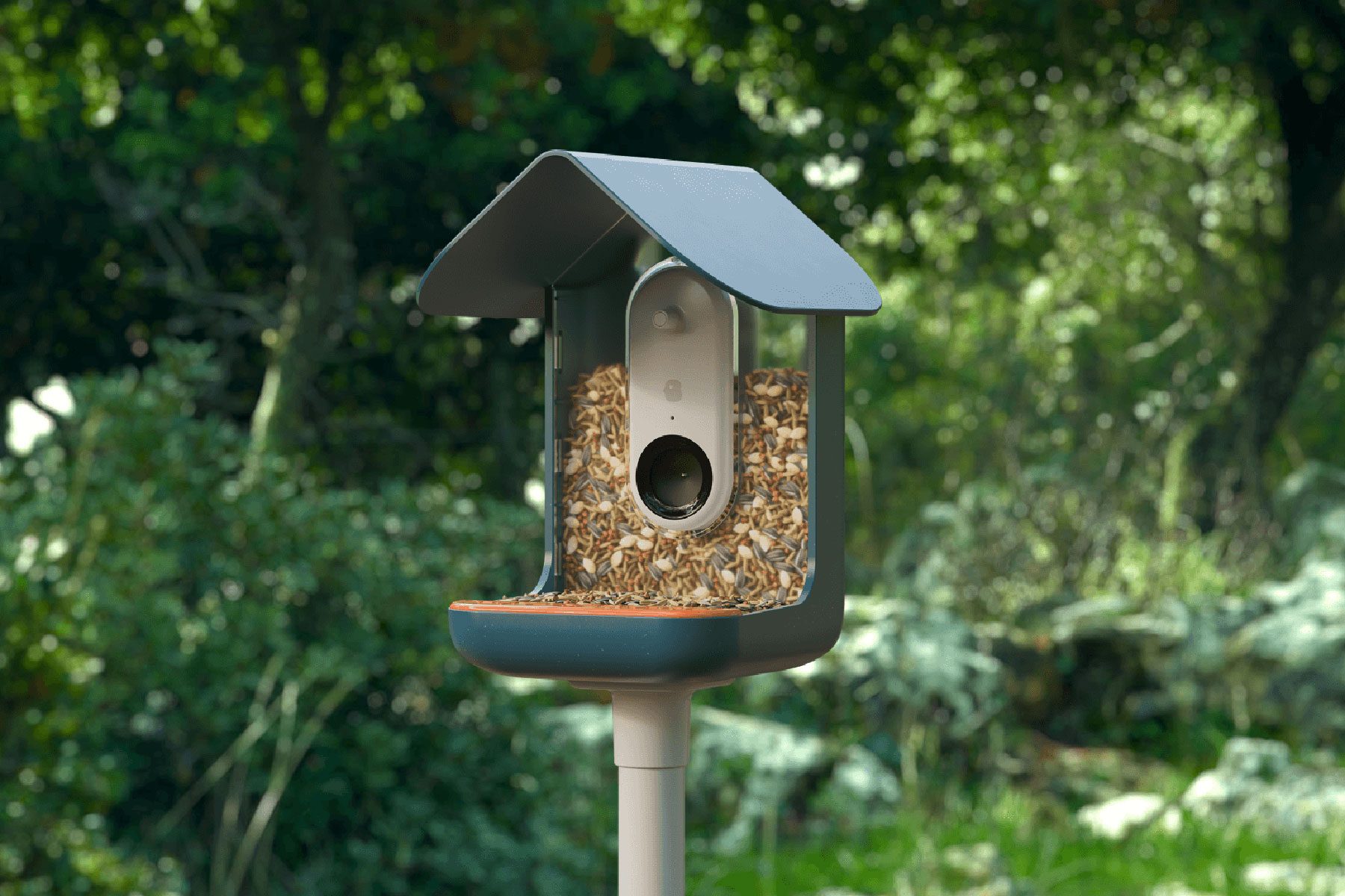 Bird Buddy Perch With Built in Hummingbird Feeder 