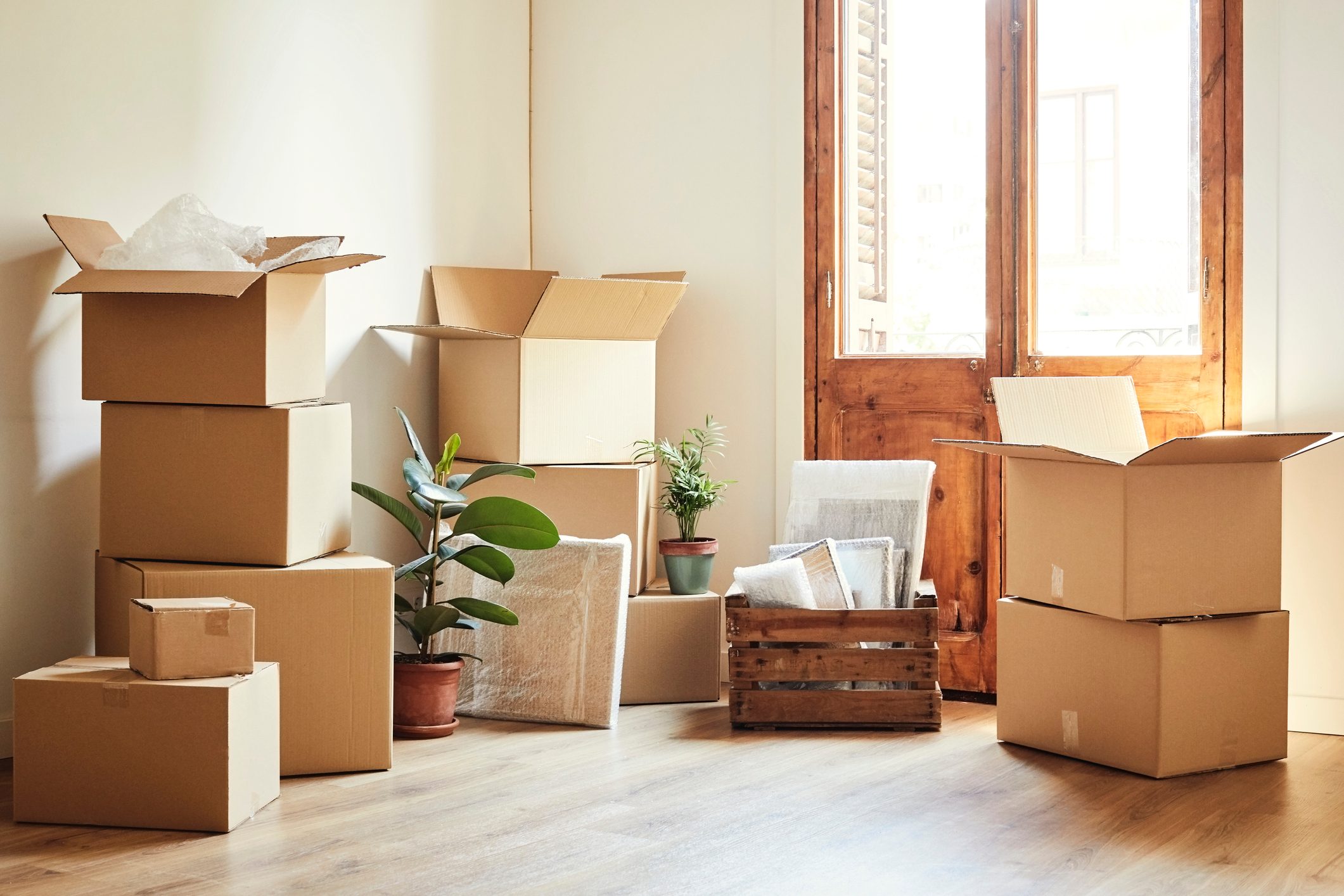 Moving boxes and potted plants at new apartment