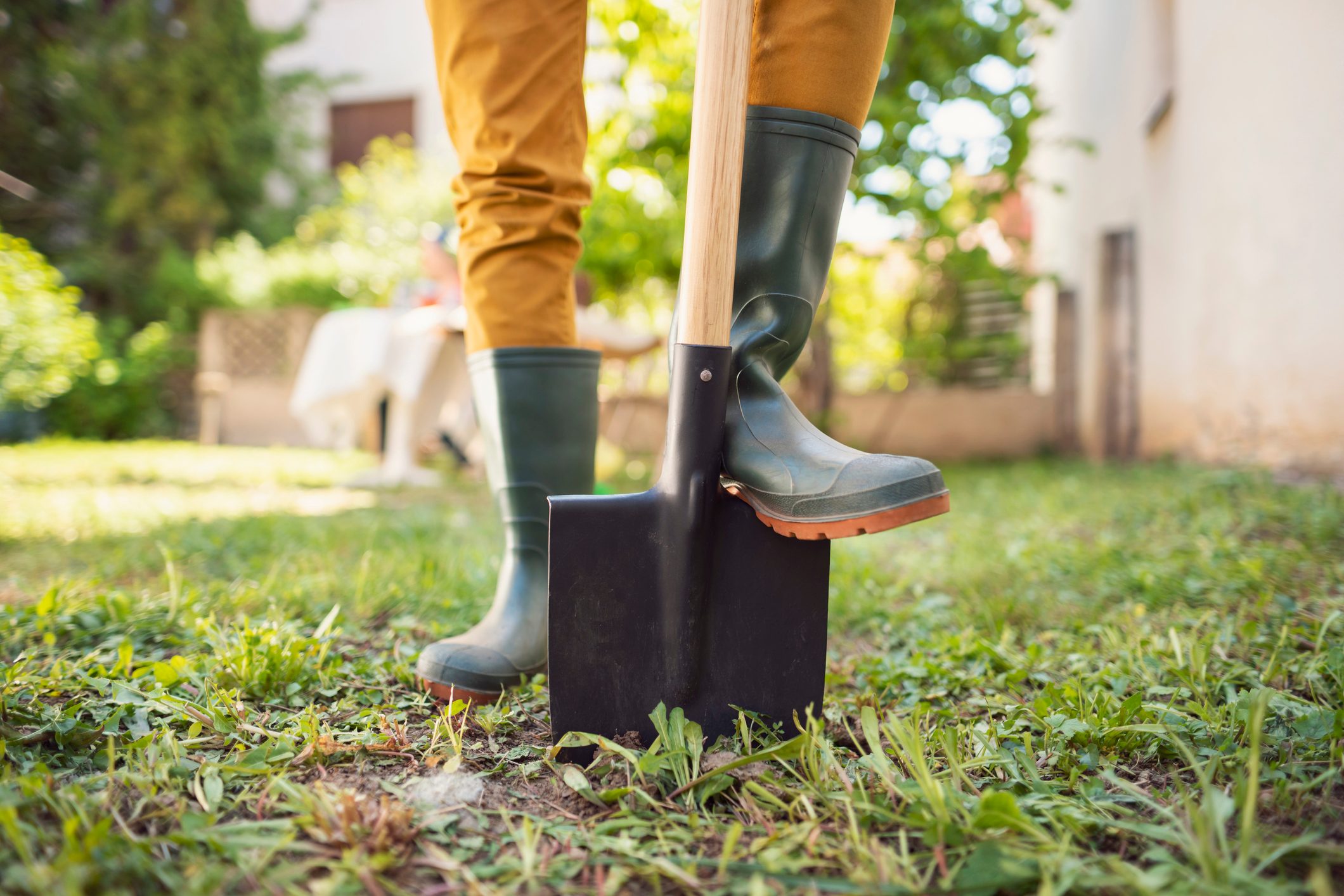 Setting Up a New Garden: Choose the Right Site