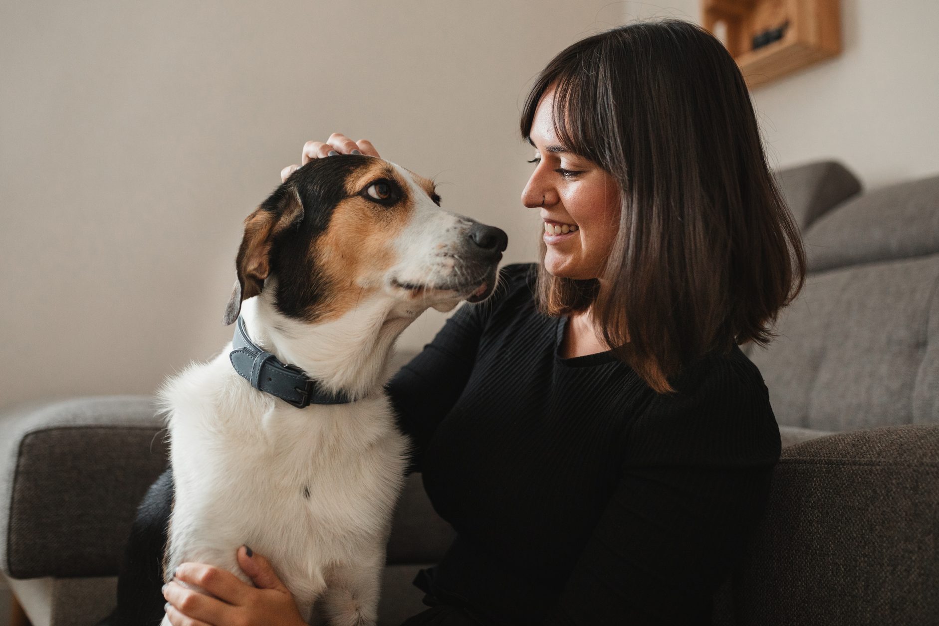 8 Home Remedies To Stop Dogs From Chewing Furniture