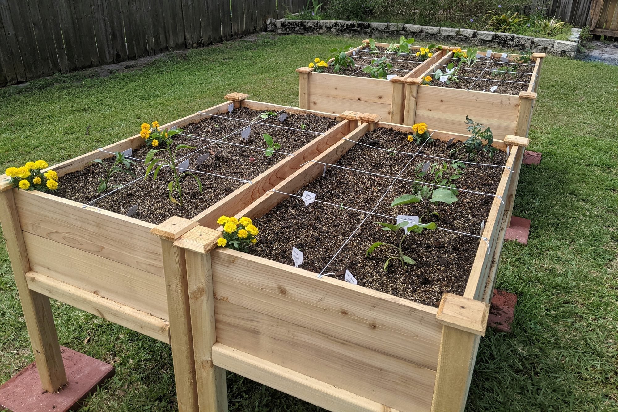 garden bed