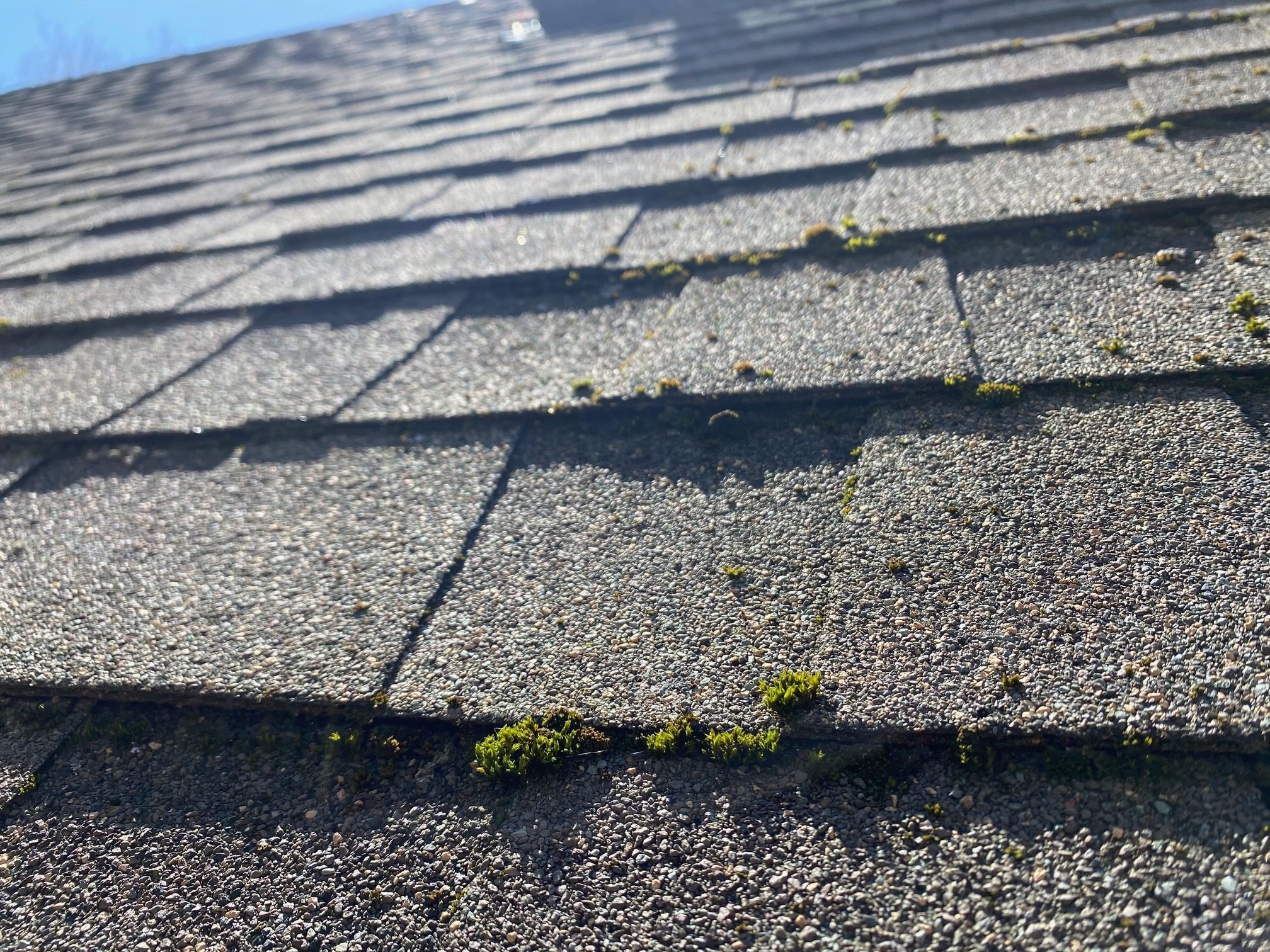 How To Clean Moss Off the Roof