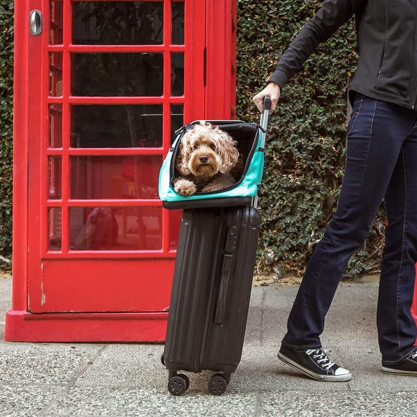 Elite Luxury Dog Harness And Leash Set | Supreme Dog Garage