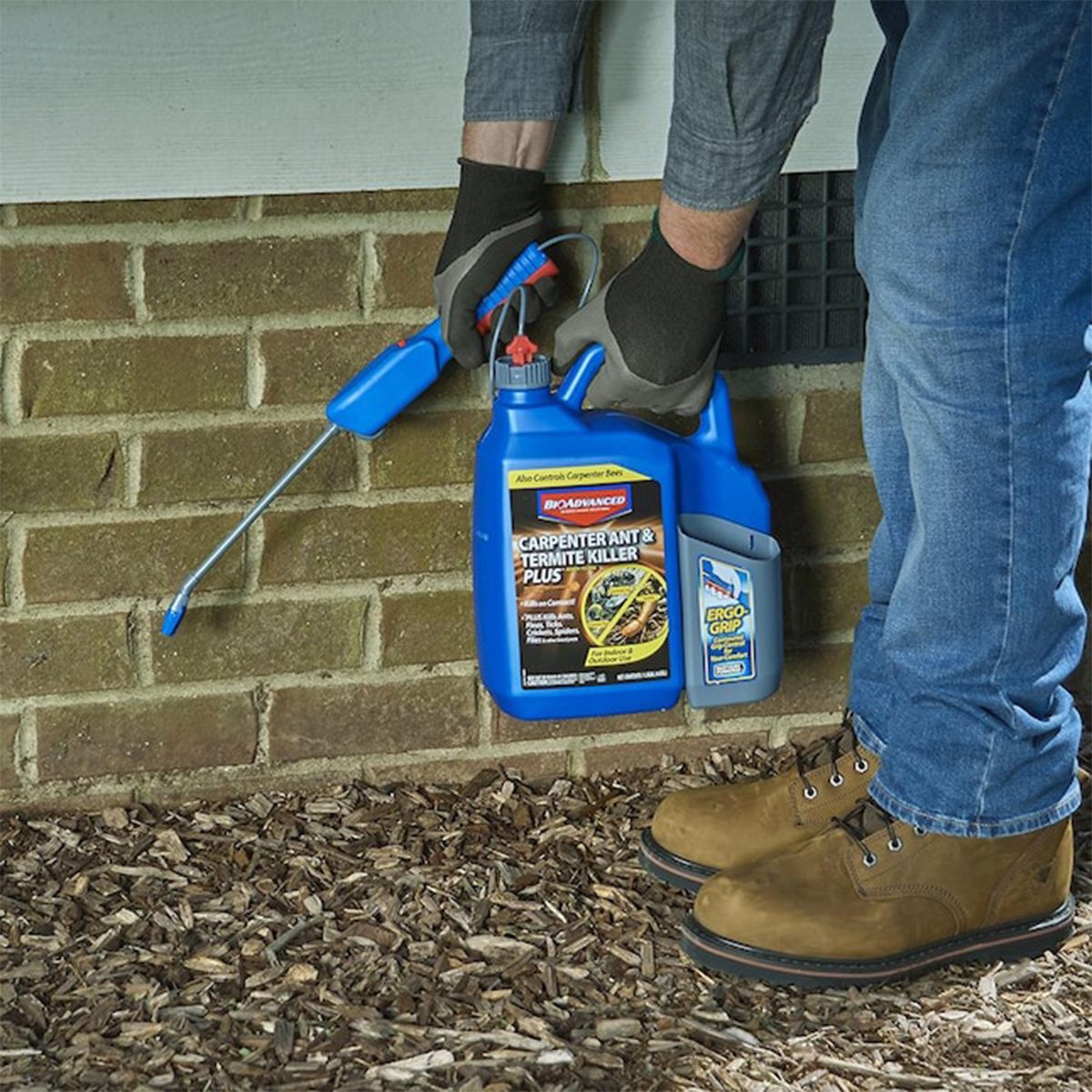 The 5 Best Termite Treatments for DIY Pest Control