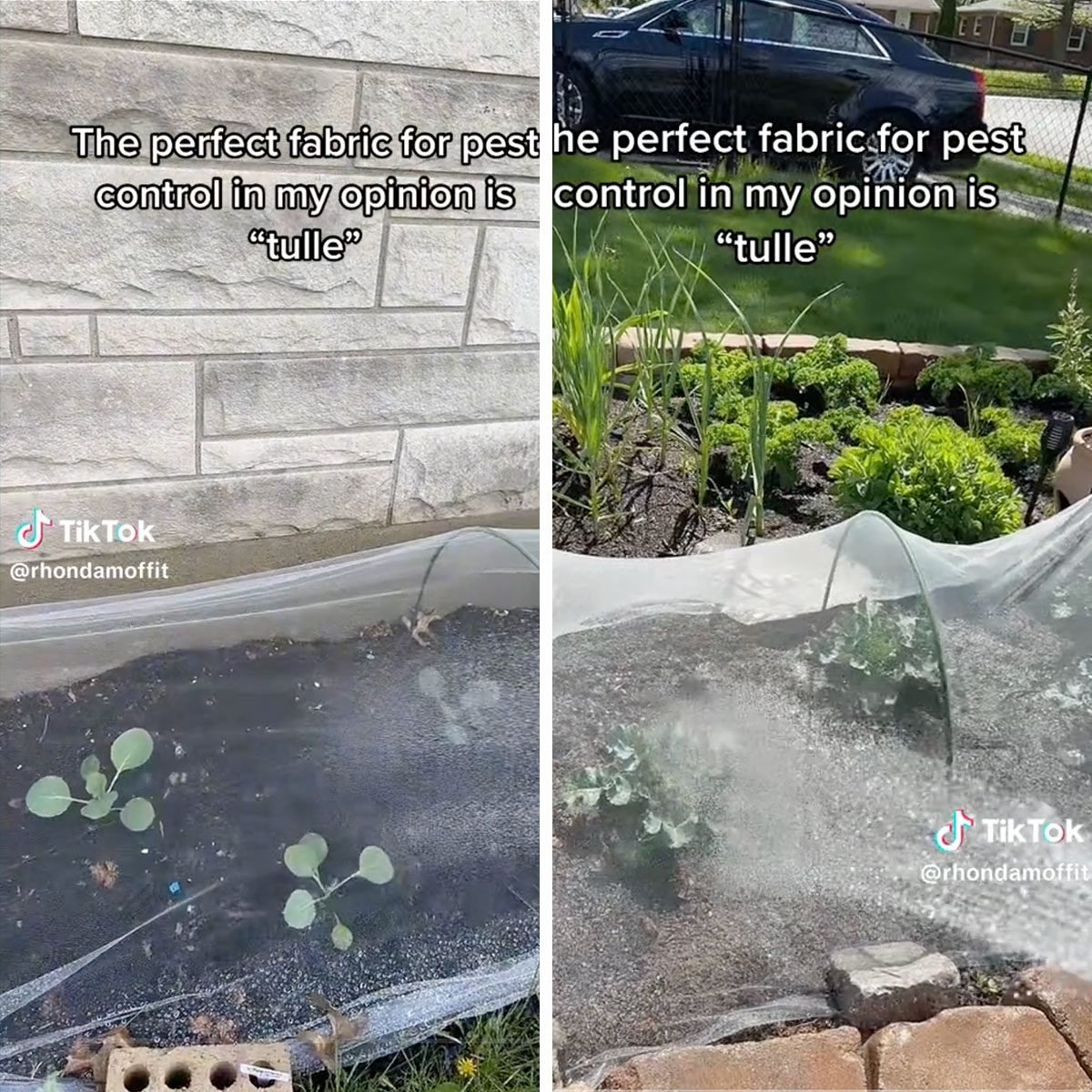 This Super Easy Gardening Hack Keeps Pests Away for Good