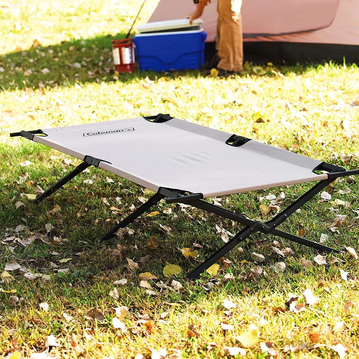 7 Best Camping Cots for Different Types of Campers