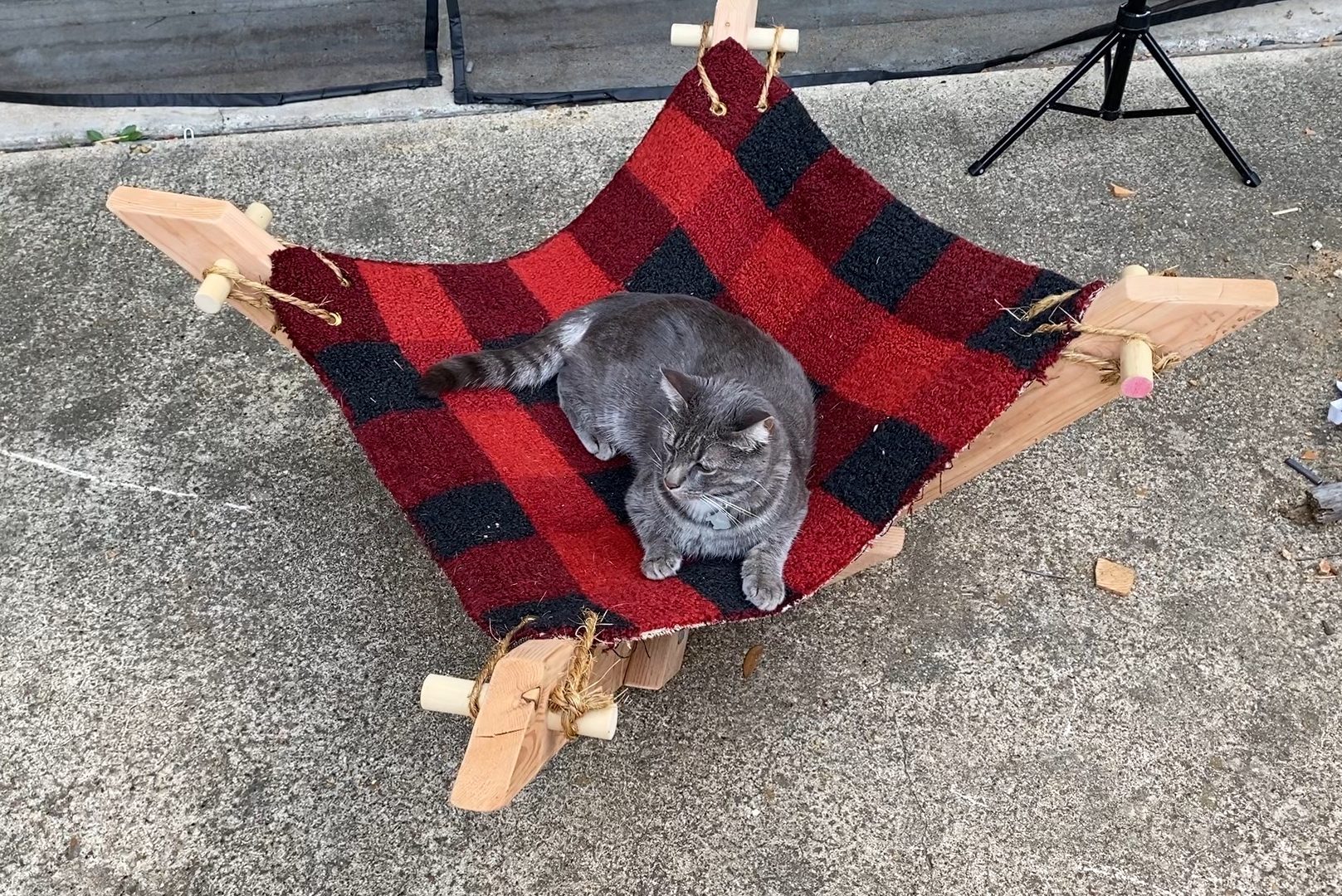 How to Build a DIY Cat Hammock