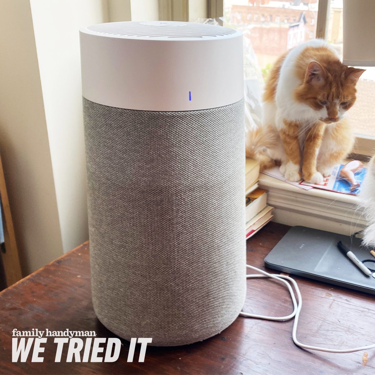 Why the Blueair Air Purifier Is the Best: Our Honest Review!