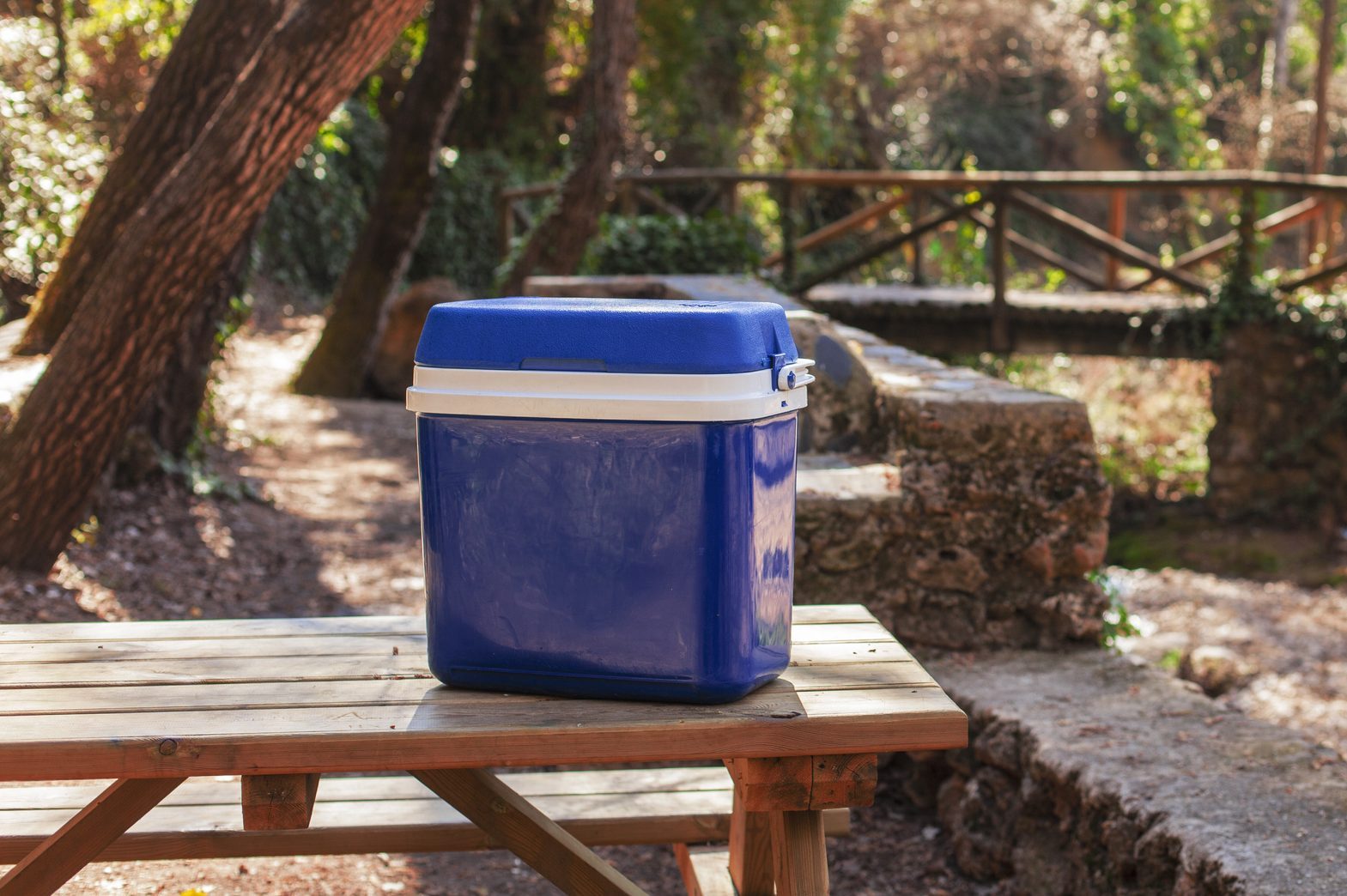 Plastic fridge in a picnic area in a forest. Spain Jaen Province.