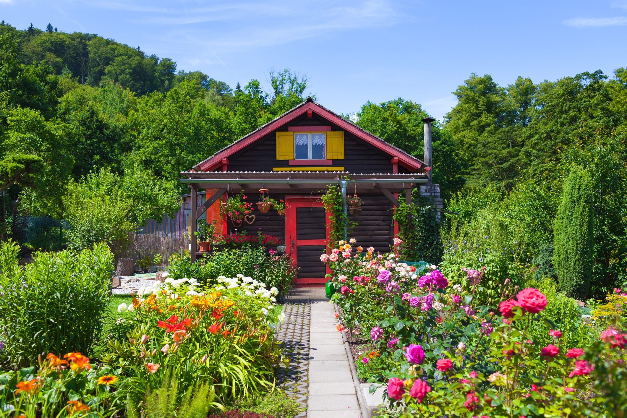 Create a Dream Cottage Garden With These 12 Flowers