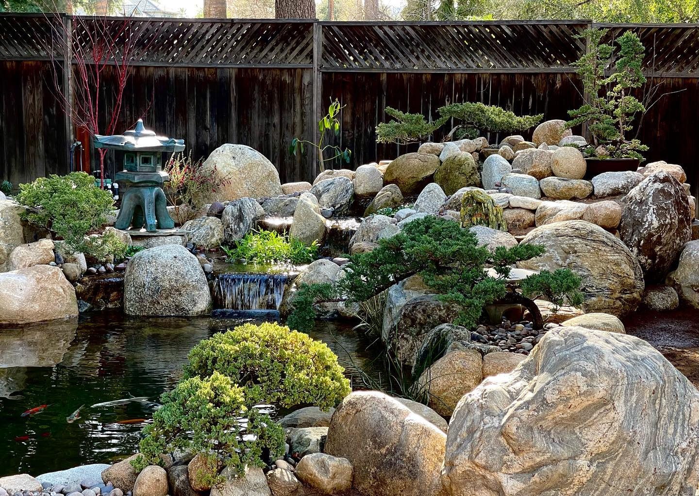 japanese koi garden