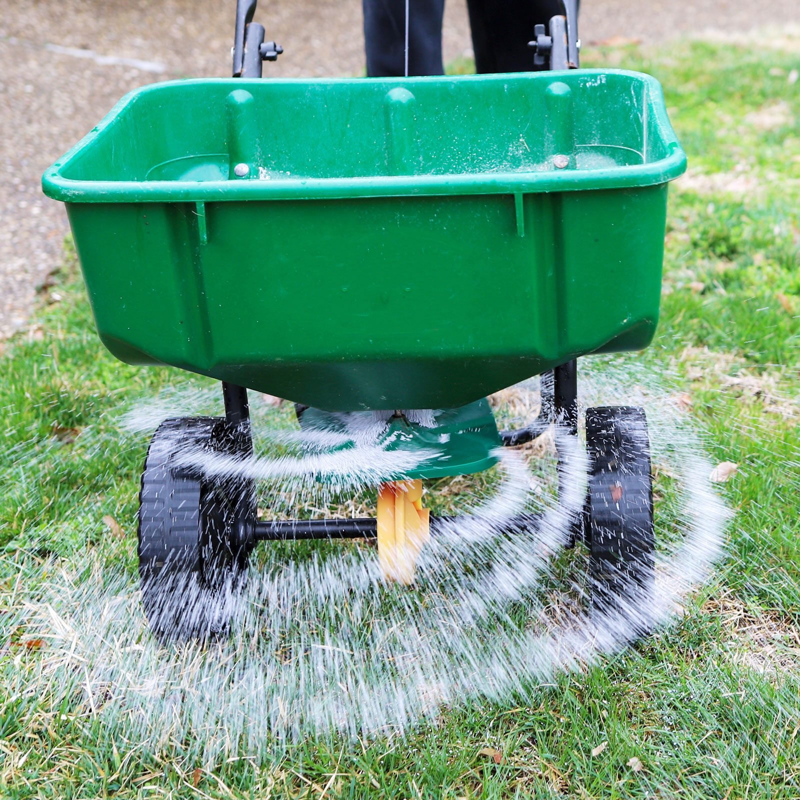 How to Choose the Right Lawn Fertilizer