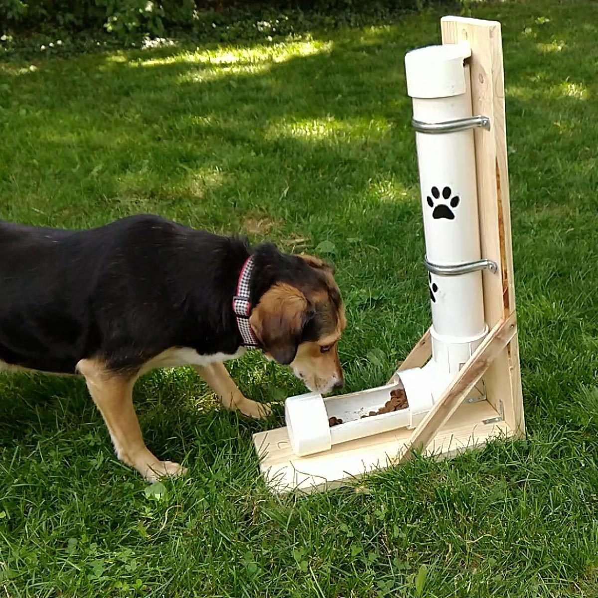 How to make Amazing Dog Food Dispenser with Button 