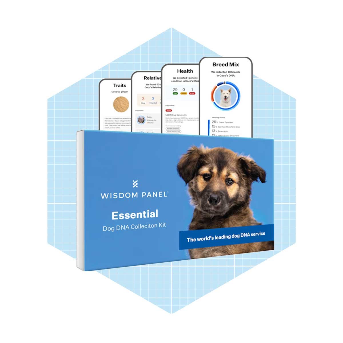 Wisdom panel dog dna test outlet kit