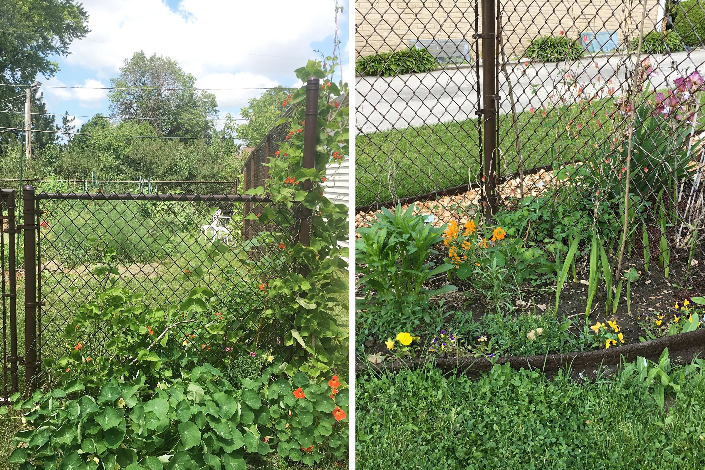 Before And After Split Screen Ecoborder Rubber Landscape Edging garden