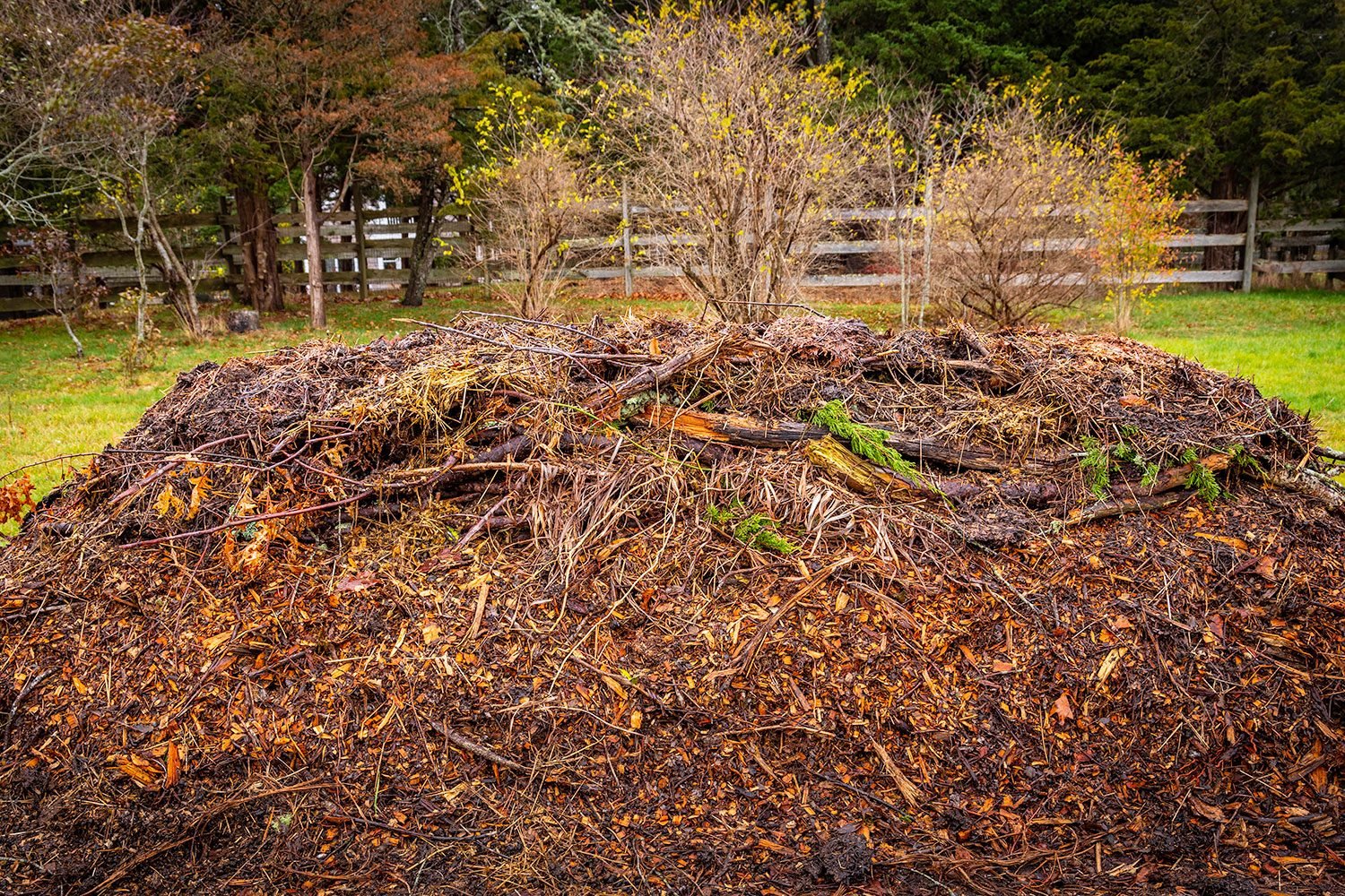 Hugelkultur Raised Bed vs. Traditional: Which Is Better for Your Garden?