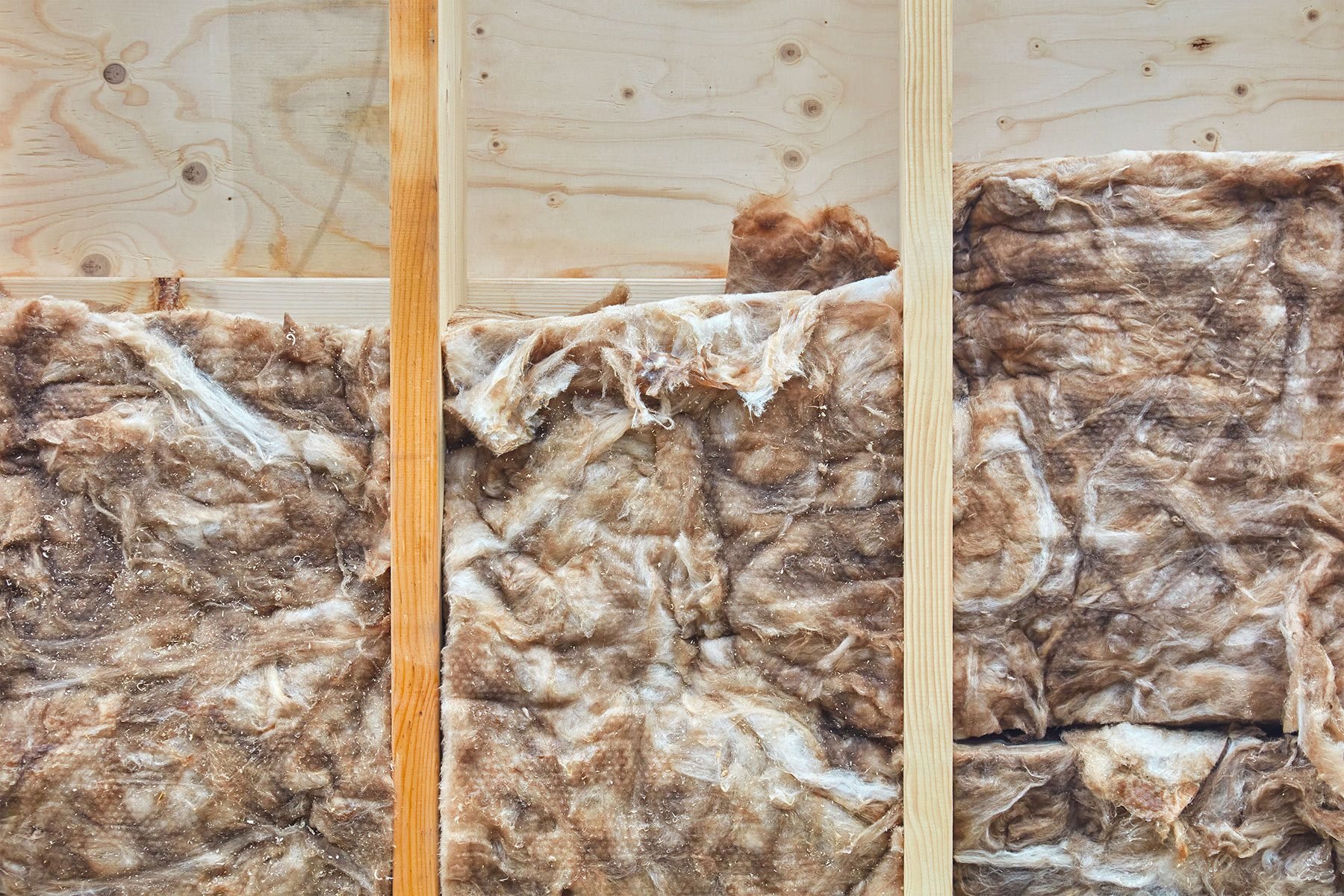 Should You Invest In Sheep Wool Insulation?