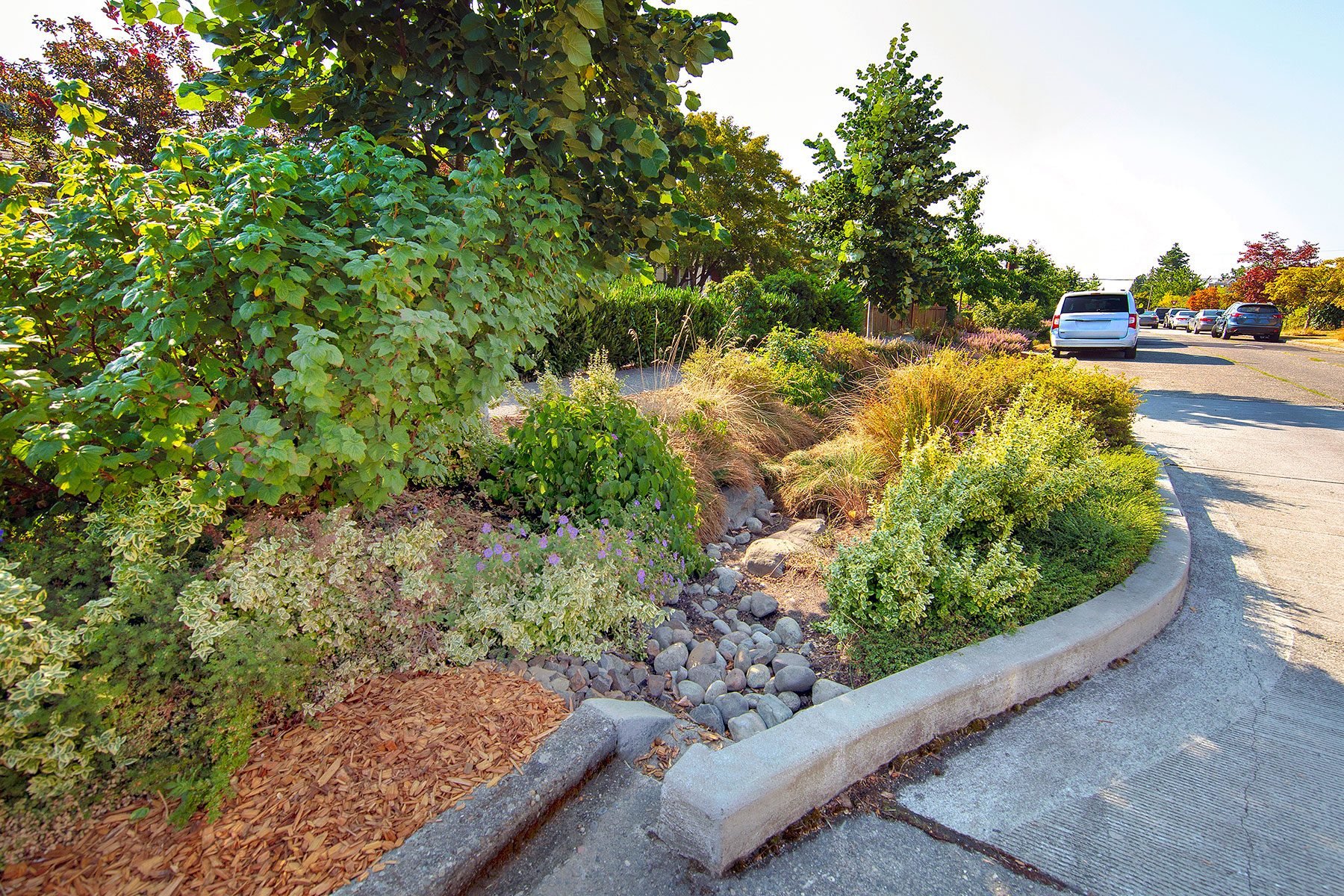 What Exactly Is a Bioswale?