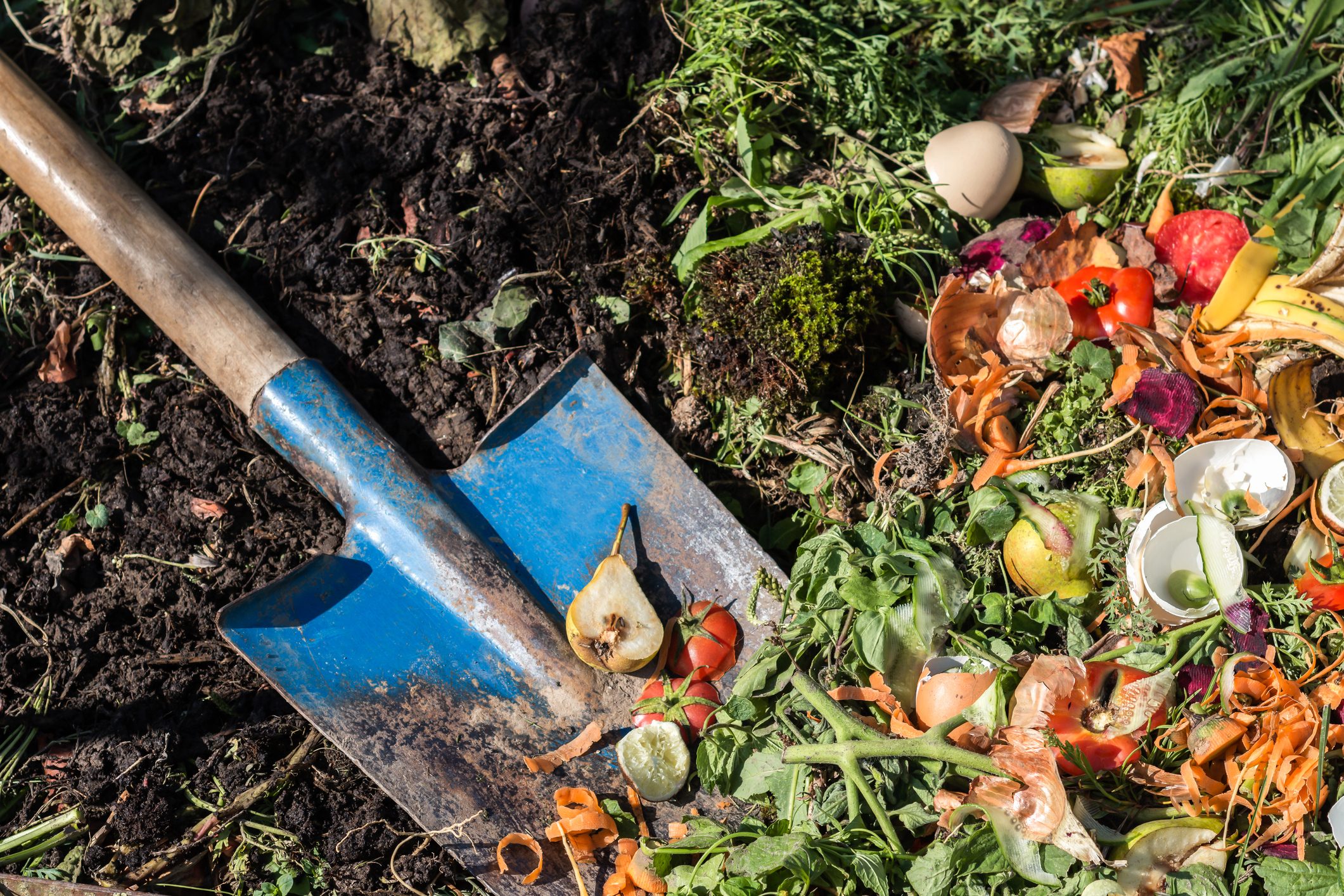 What Is Composting In Place and How Do You Do It?
