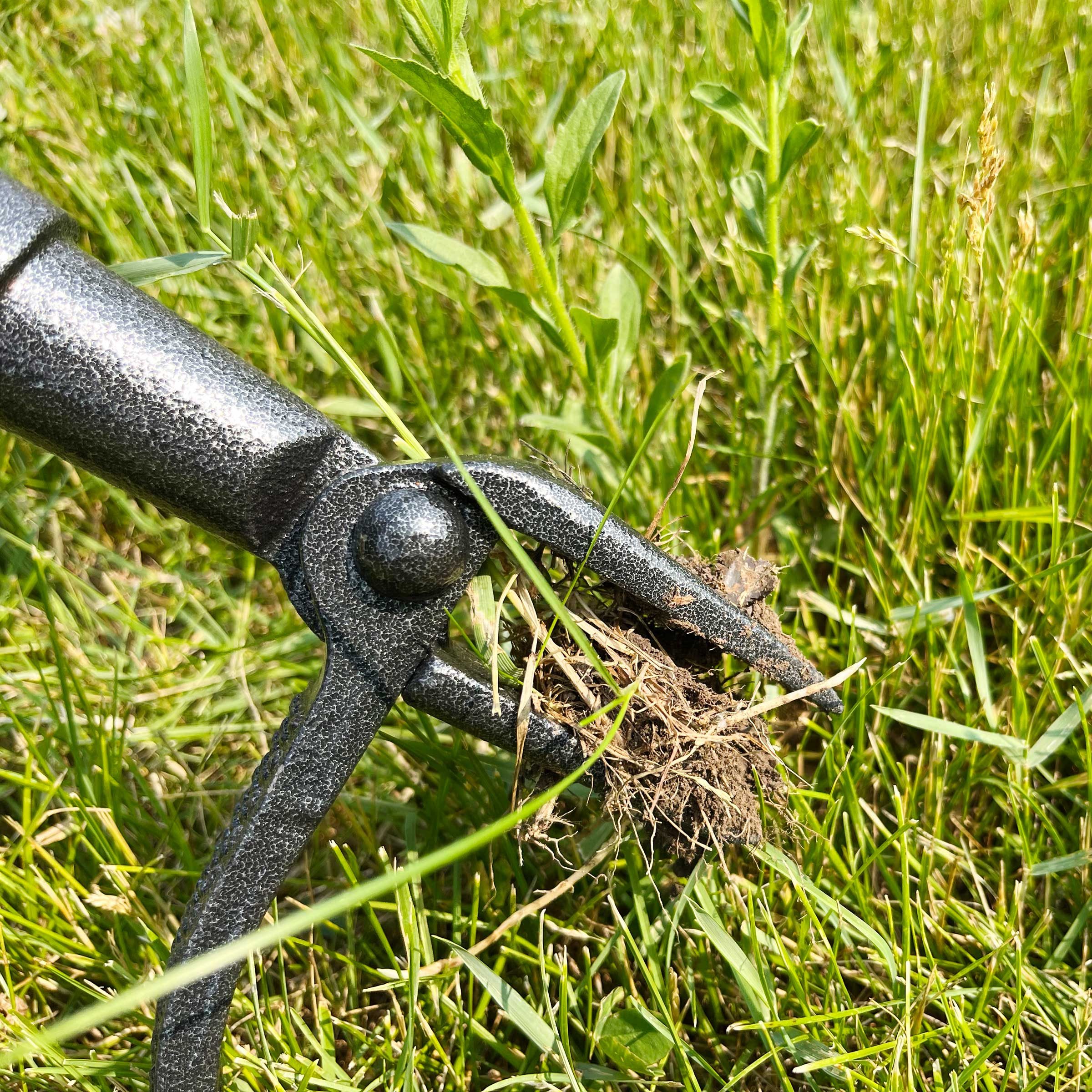 CobraHead vs. Grampa's Weeder: We Review Both!