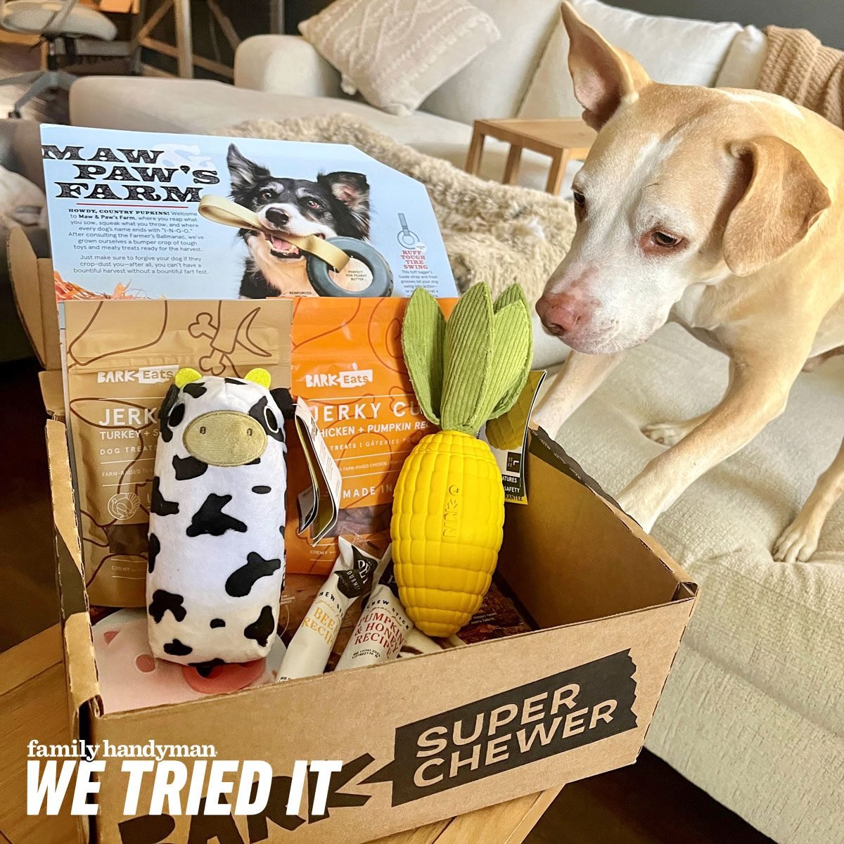 Super Chewer BarkBox Review 2023: Pros, Cons & Is It Worth It?