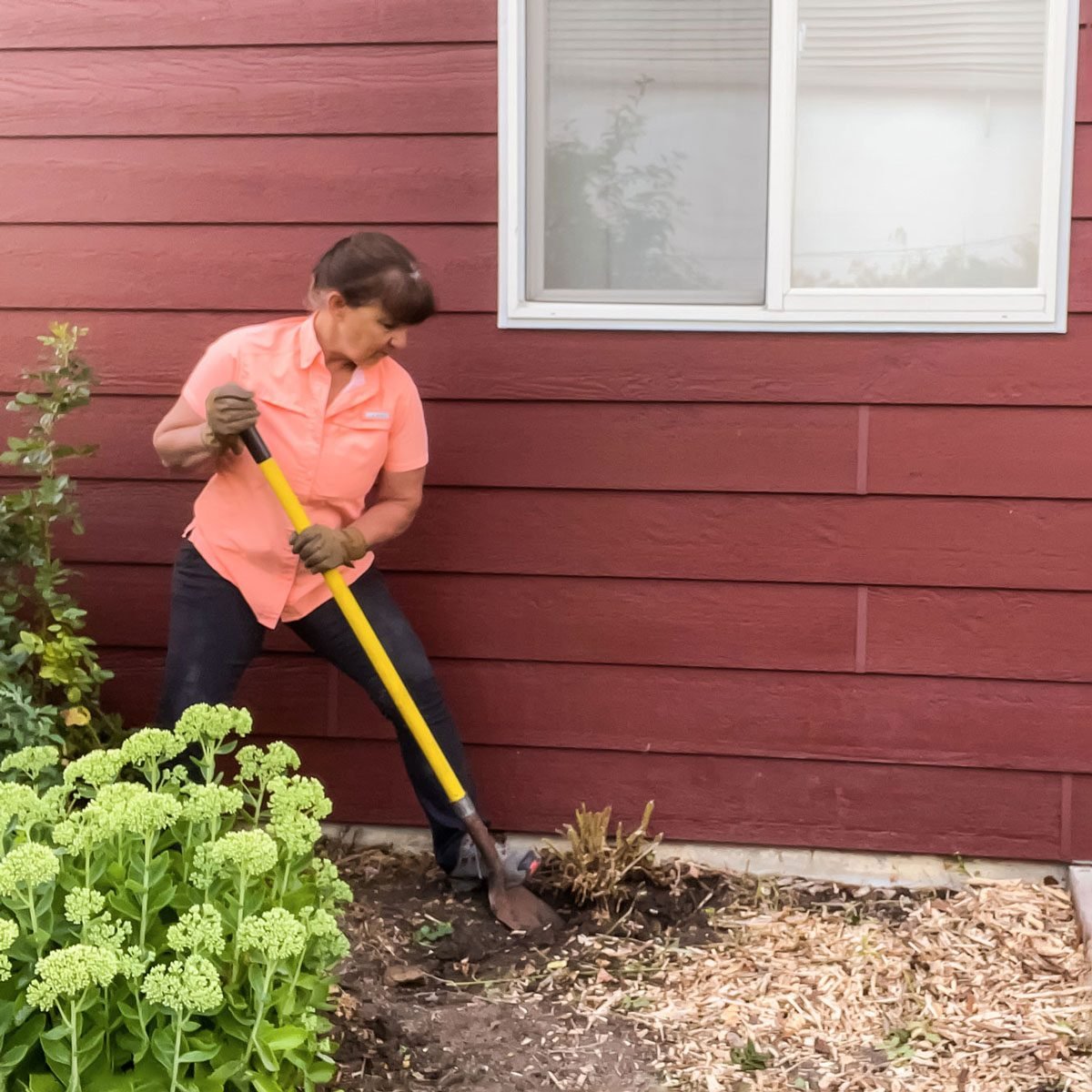 How to Remove Bushes and Shrub Roots
