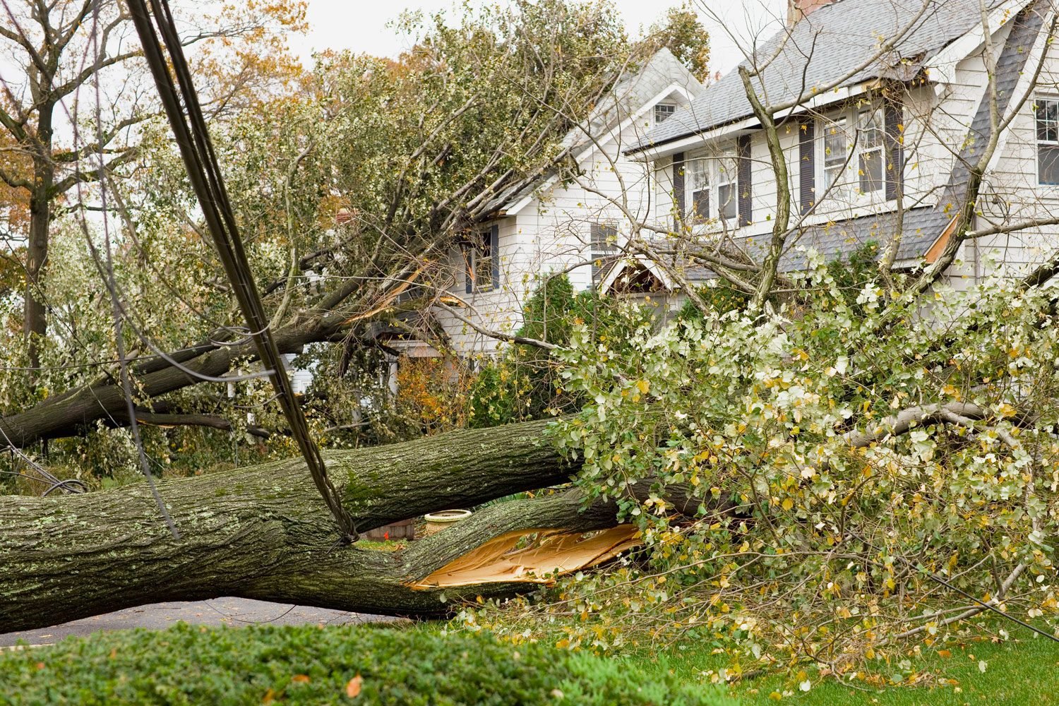 How To Keep Your Family and Your Home Safe During High Winds