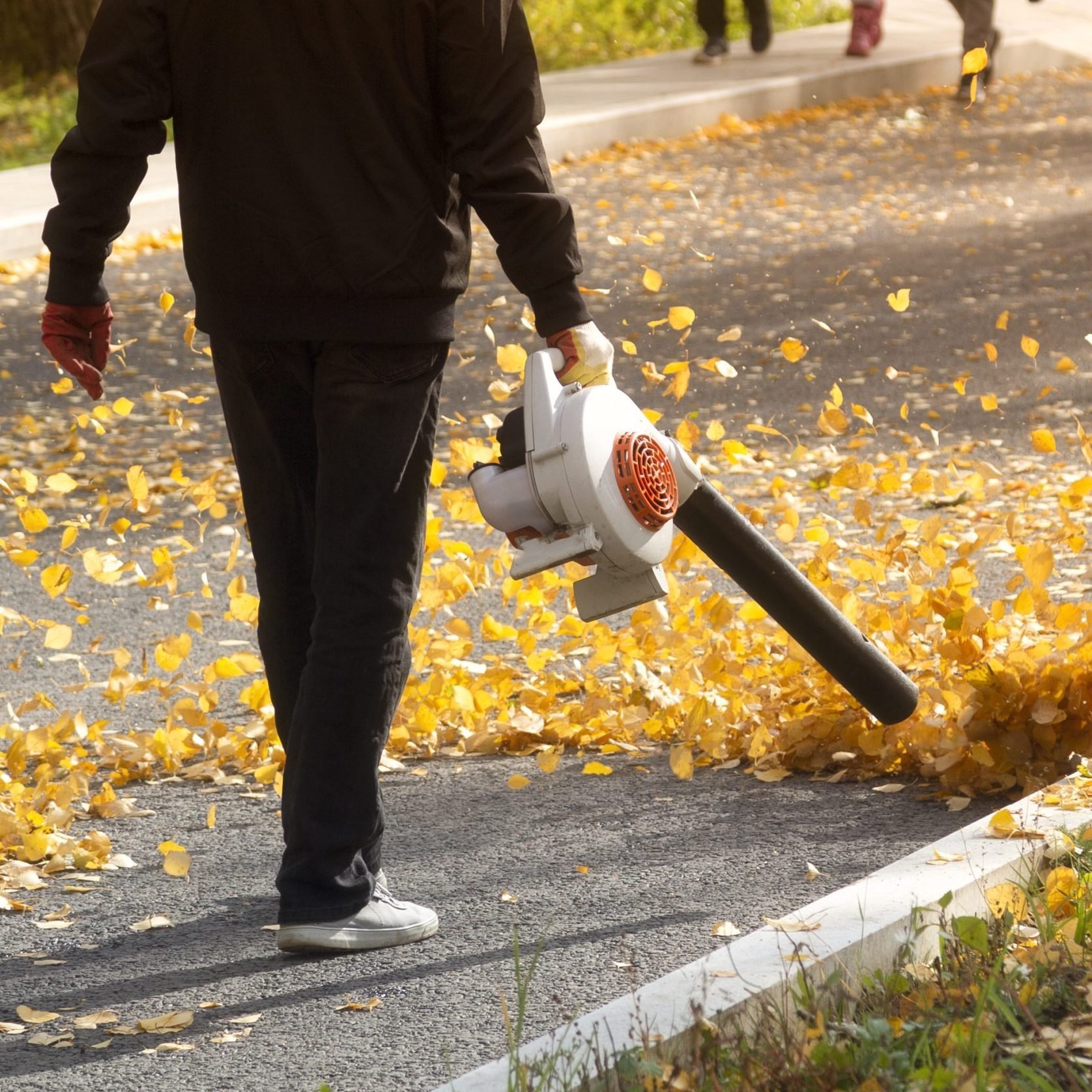I used four different tools to get rid of leaves — here's what worked best