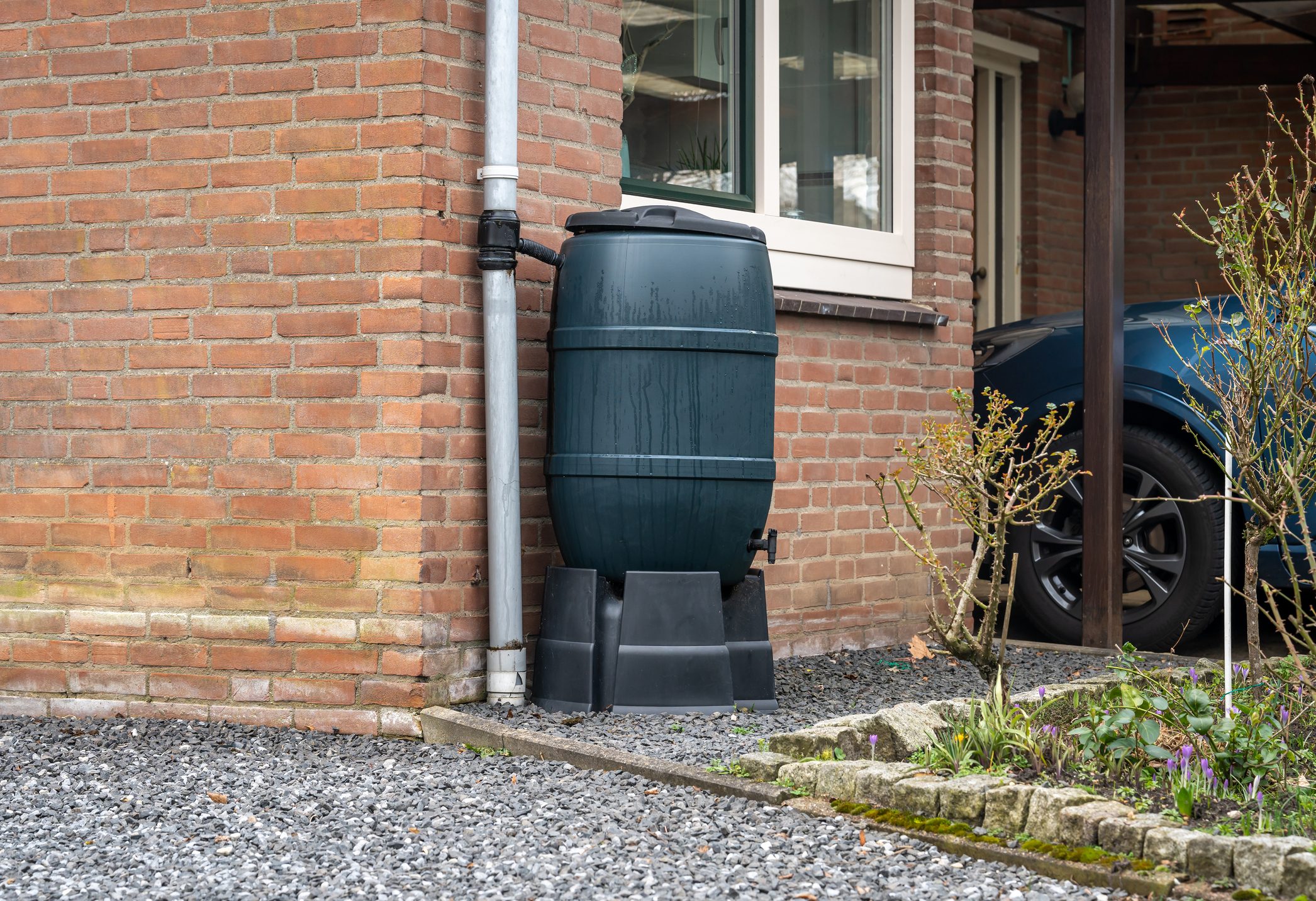 Rain barrel in front of a modern house, rainwater tank to collect rainwater and reuse it in the garden