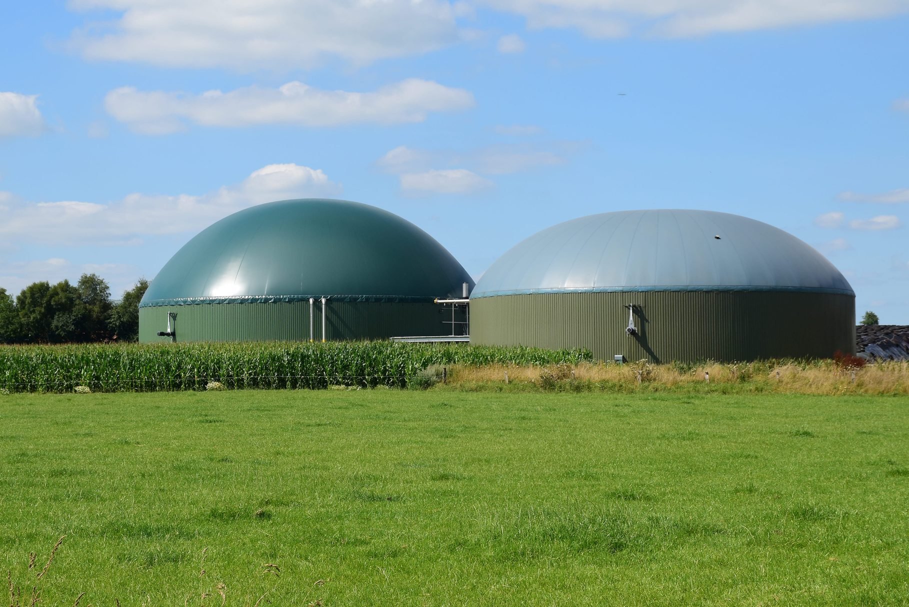 What Is a Biogas Generator?