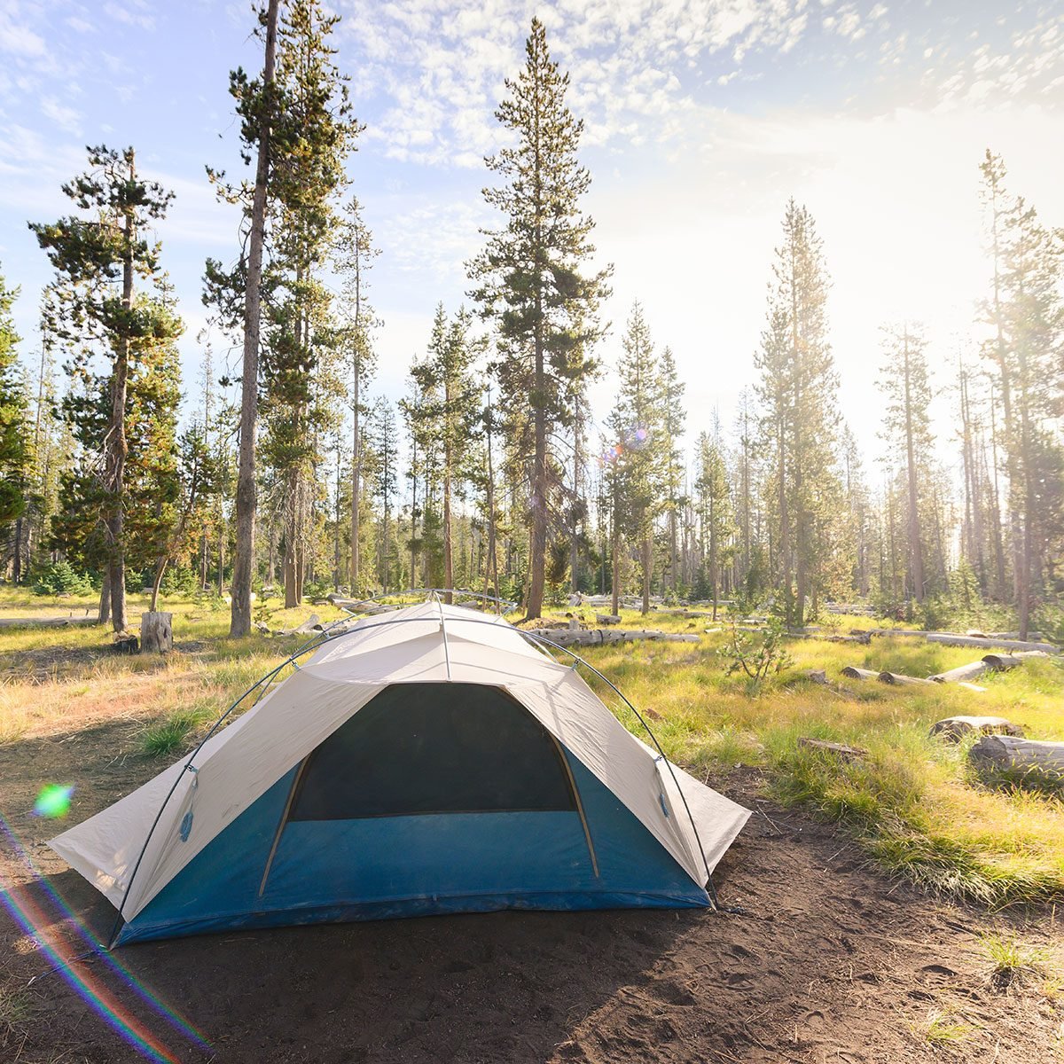 https://www.familyhandyman.com/wp-content/uploads/2023/08/How-Hot-Is-Too-Hot-for-Camping_GettyImages-1175092211_FT.jpg?fit=700%2C1024
