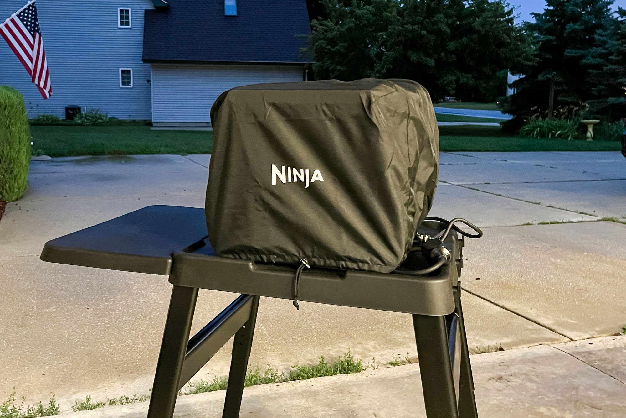 Ninja Woodfire 8-in-1 Outdoor Oven Review: 700°F?! 