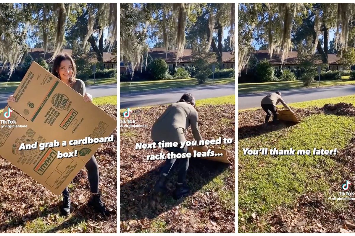 Time to Remove Leaves? Ditch Your Rake for a Cardboard Box