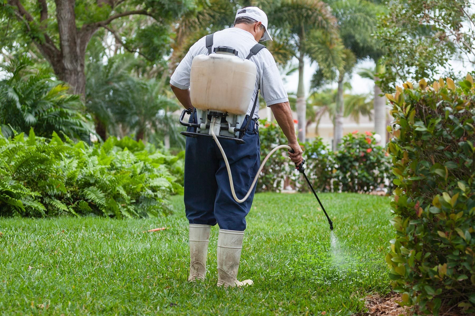 Do Mosquito Lawn Sprays Work?