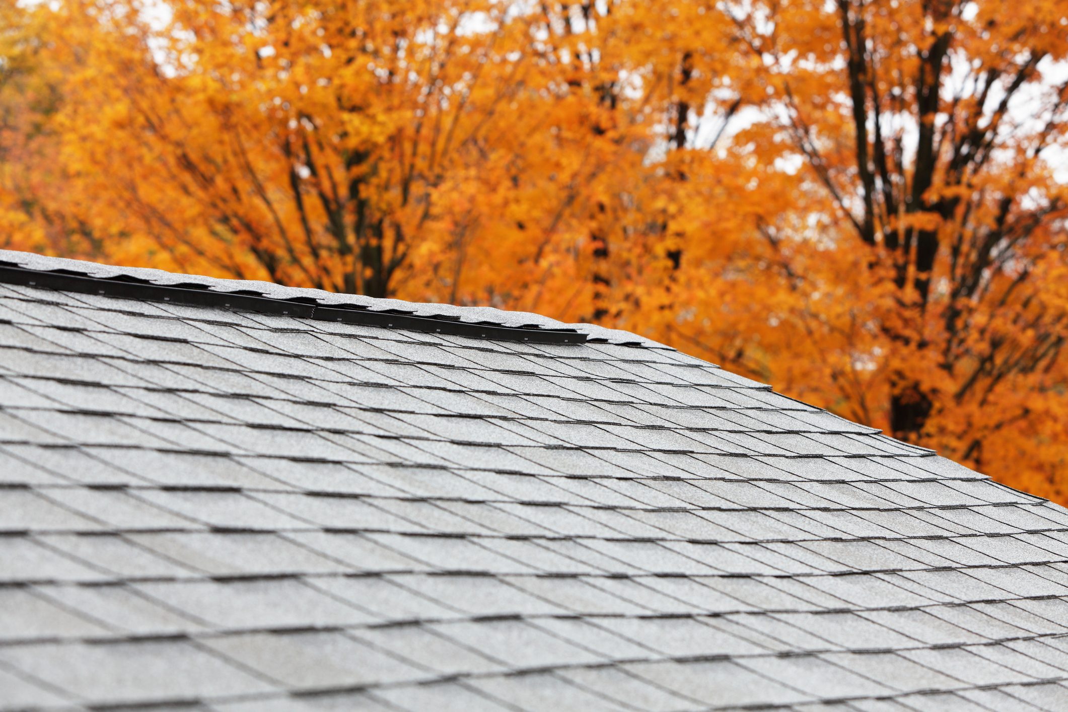 New Roof Ridge Vent