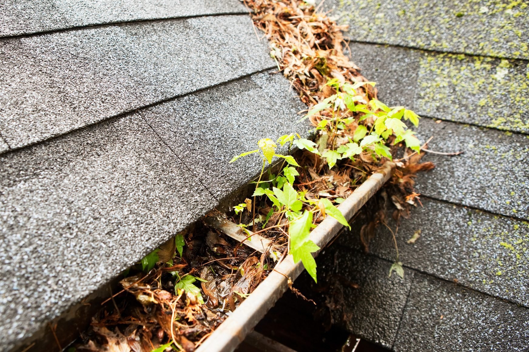How Can You Clean Gutters Without a Ladder?
