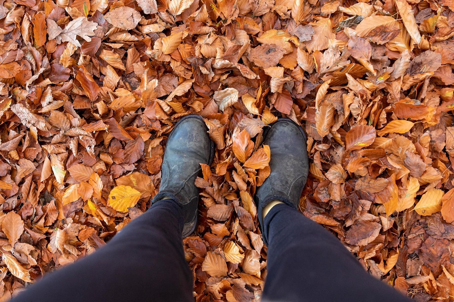 How Can You Mulch Leaves Without a Lawn Mower?