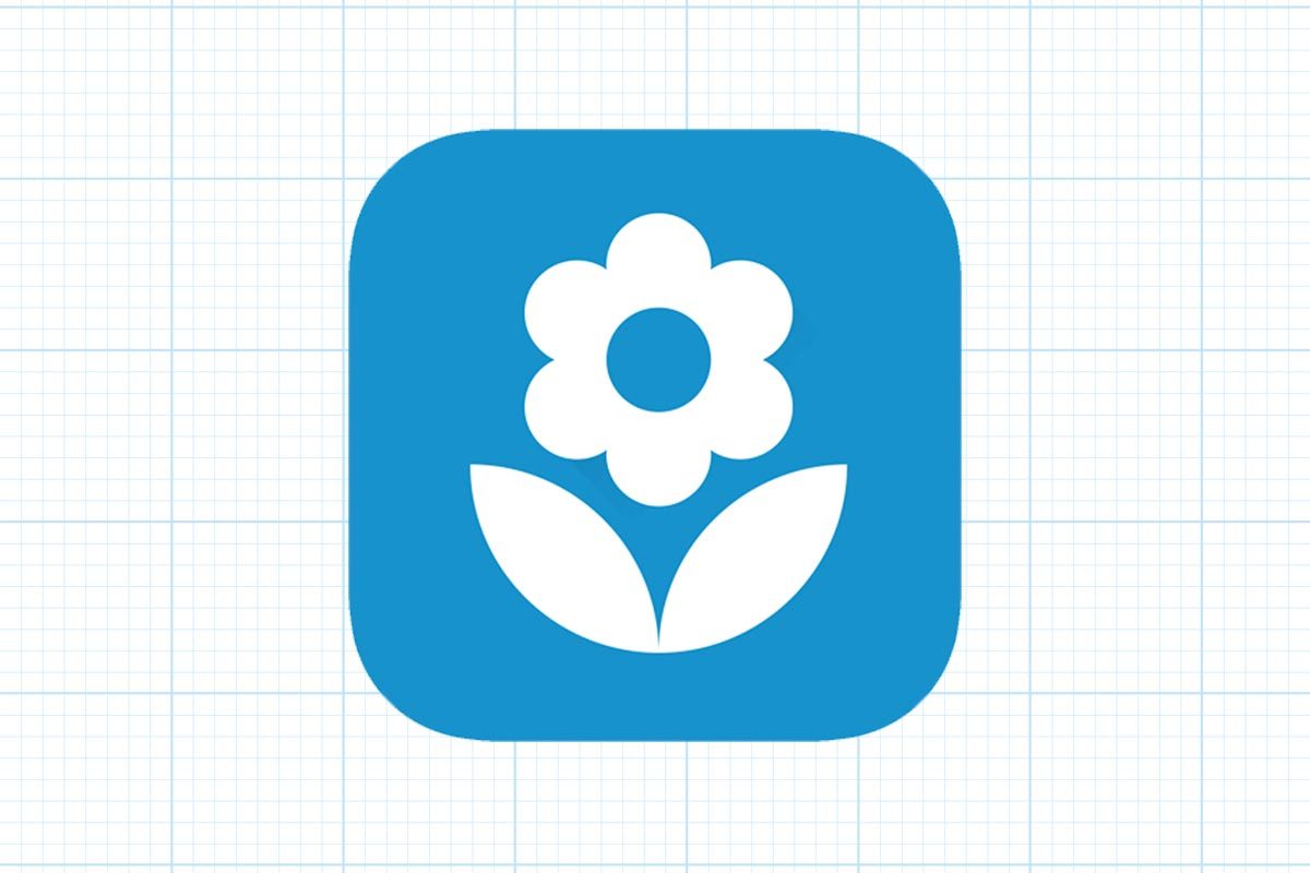 The Best Plant Identification Apps Flowerchecker