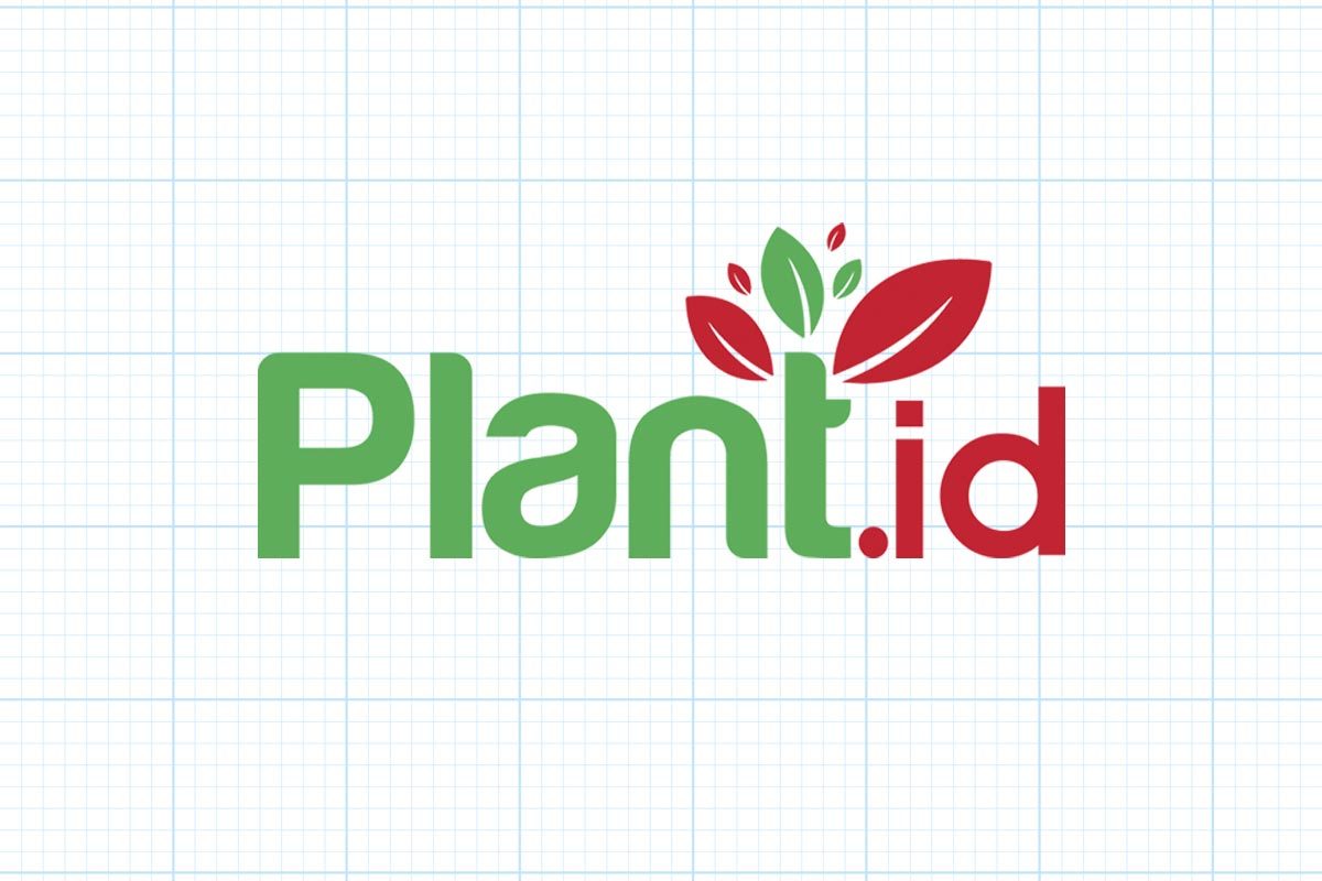 The Best Plant Identification Apps PlantID