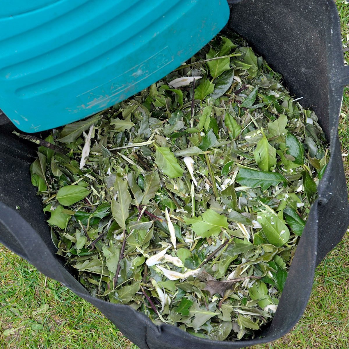 Making and Using Leaf Mulch for a Healthy Garden