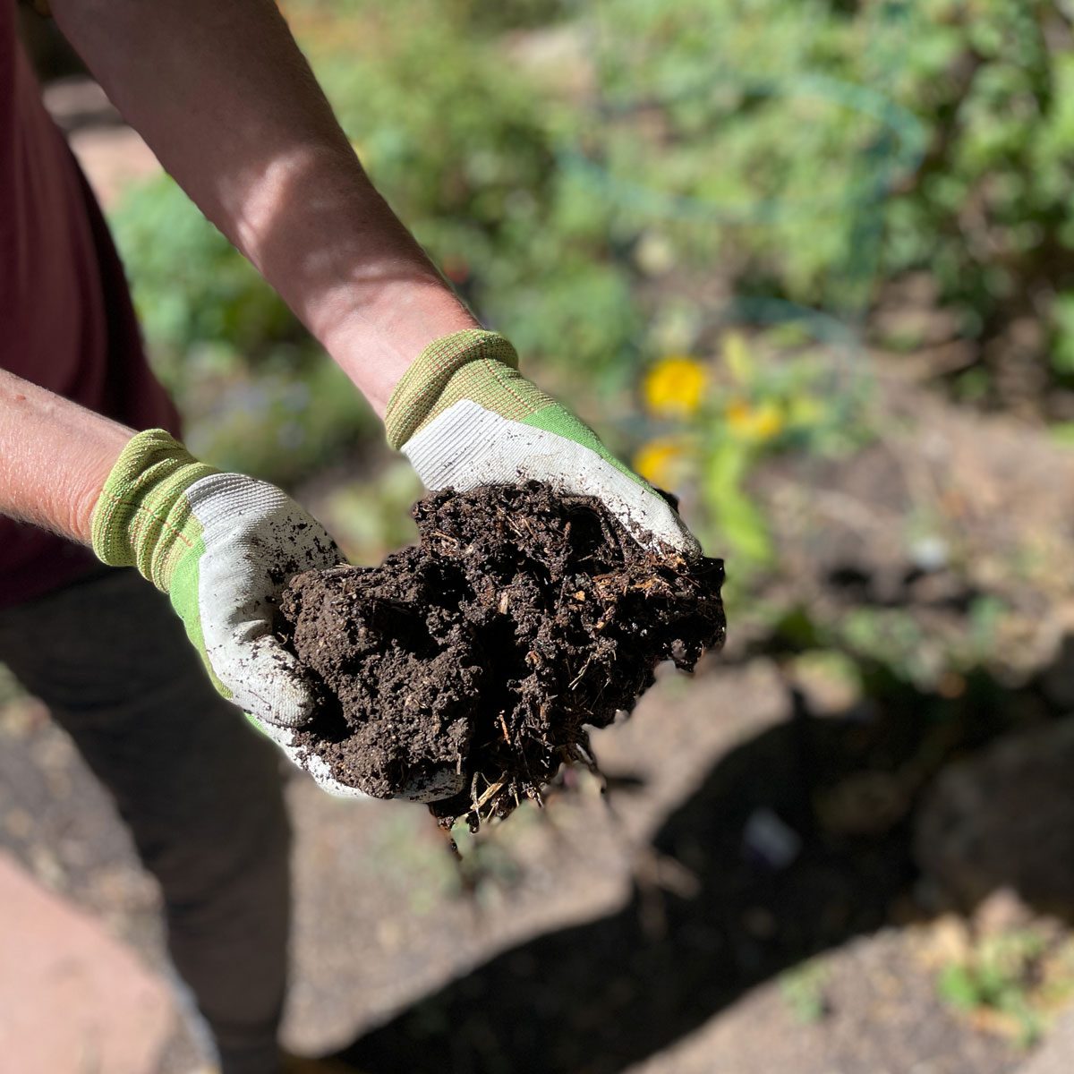 How to compost at home: Rich soil for gardening