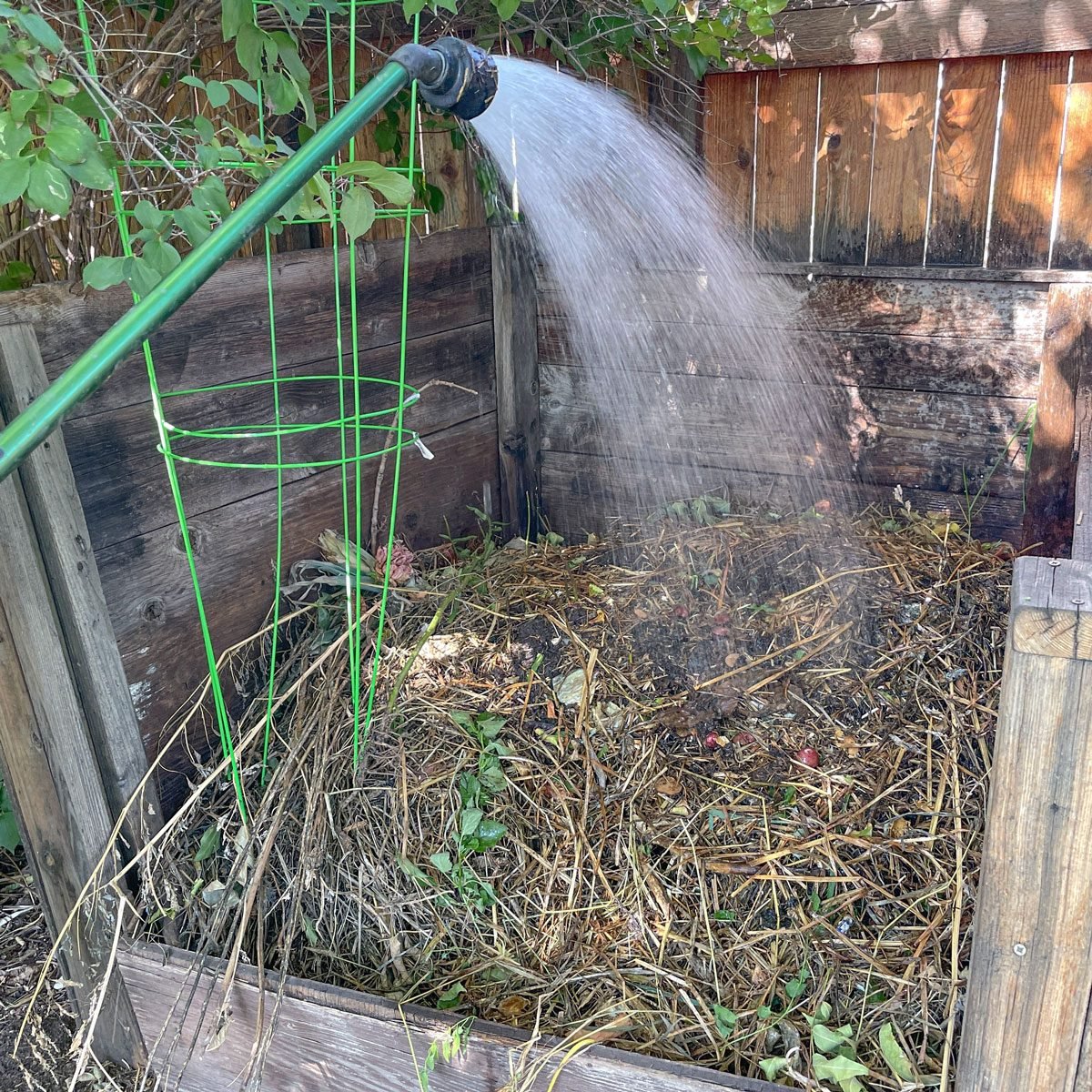 Compost step 2 watering the compost pile