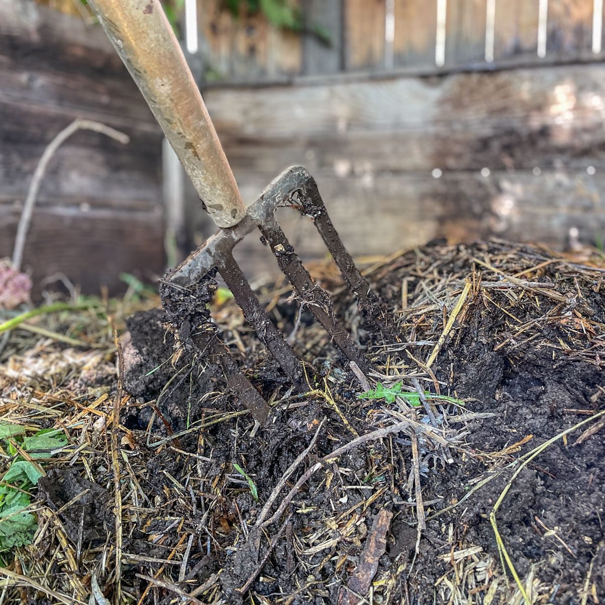 Compost step 3 turn compost pile periodically