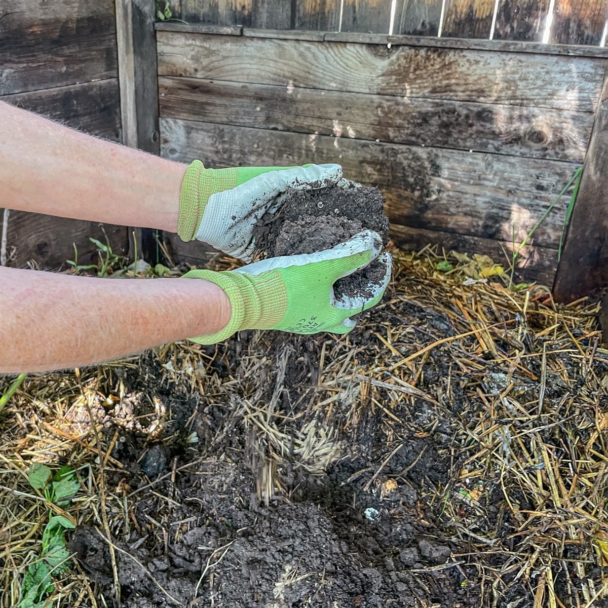 Compost step 4 compost will look like soil when it is ready