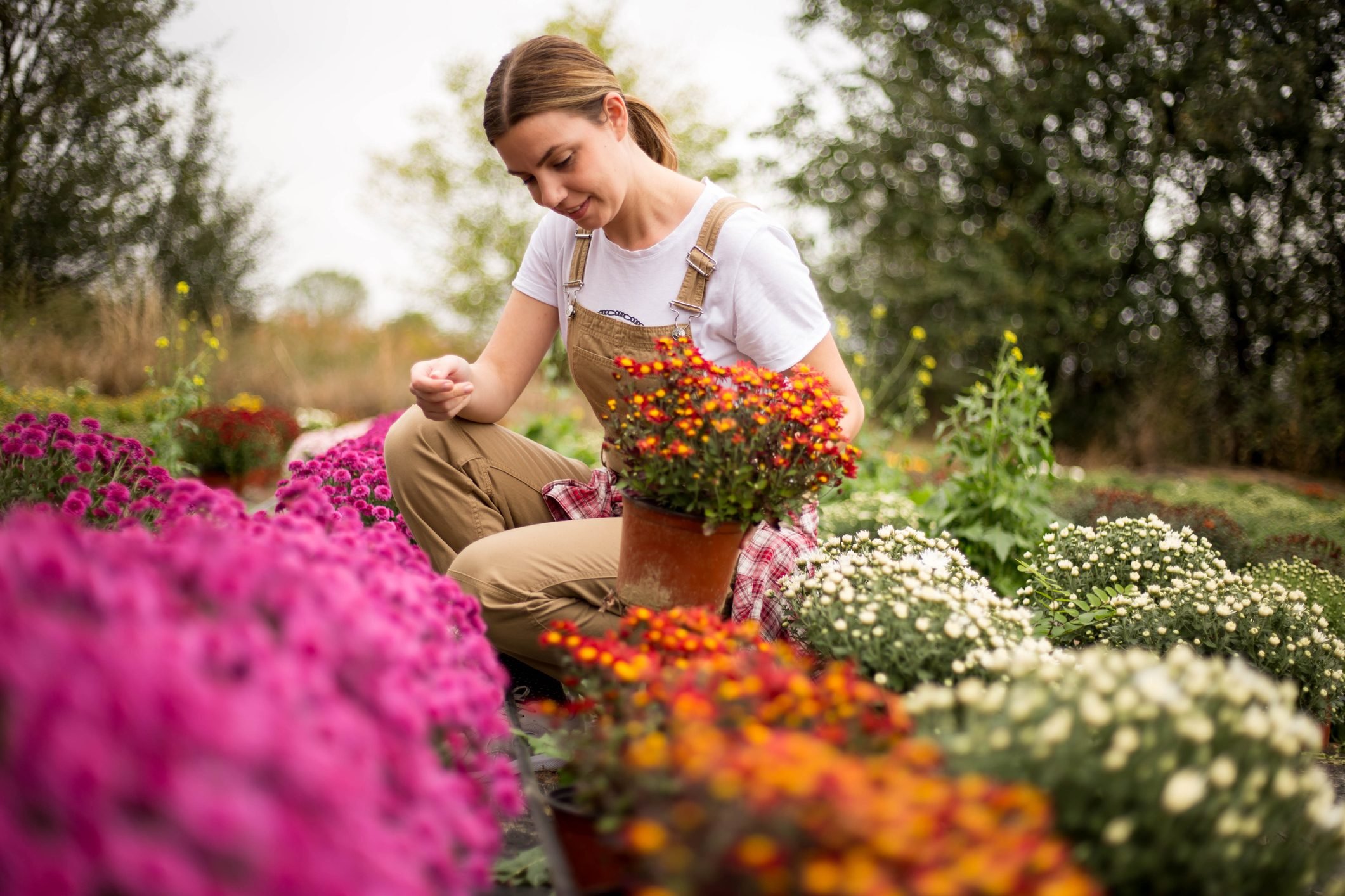 Save Money and Get More Out of Your Fall Flower Planters