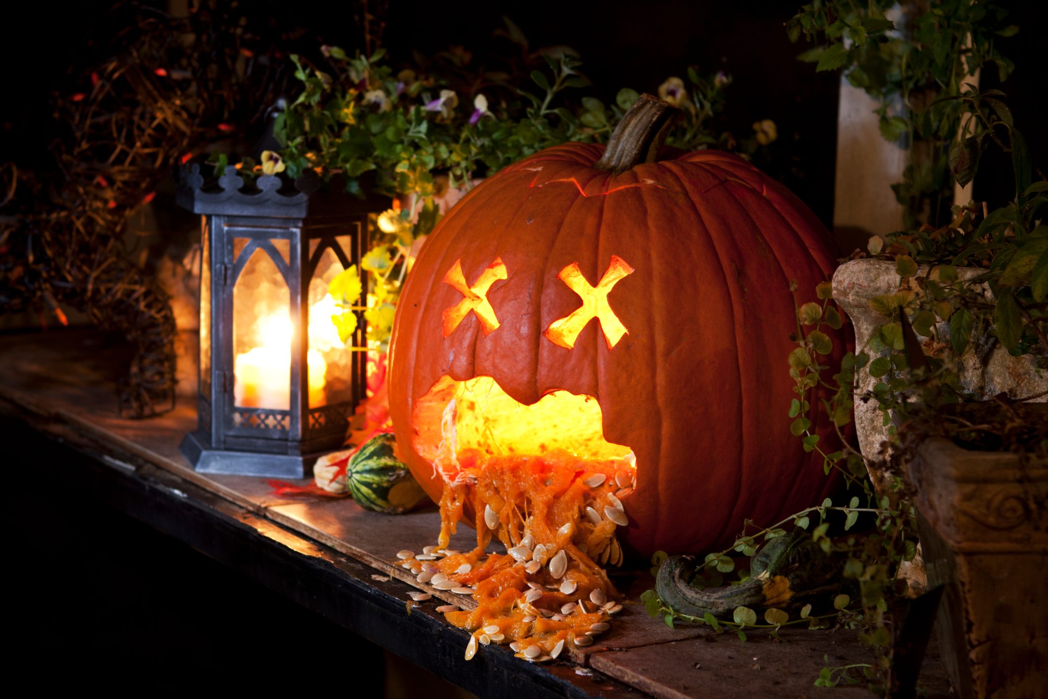 Avoid Spooky Plumbing Mishaps with Pumpkin Guts This Halloween