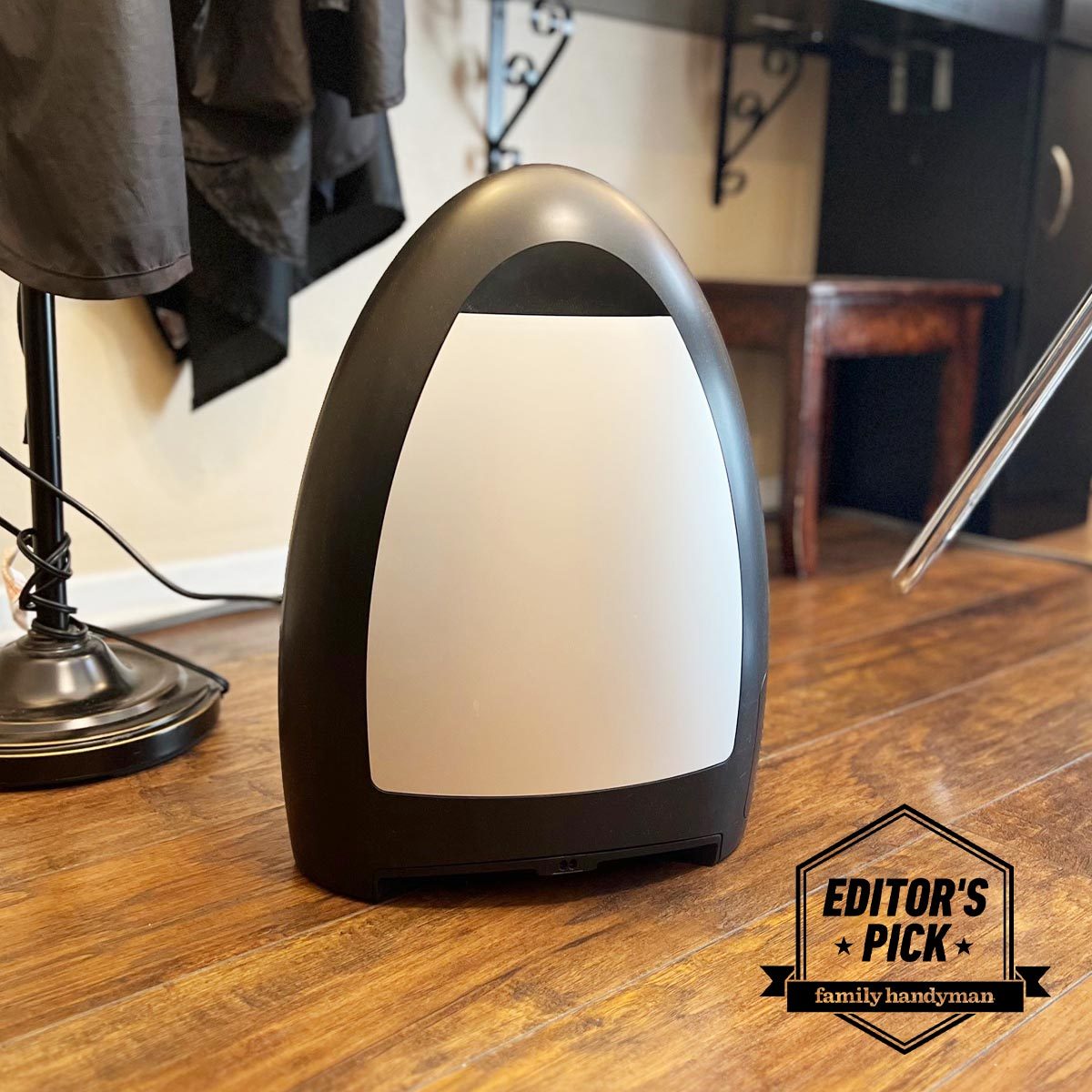 The EyeVac Home Vacuum Is Our Editor's Pick for Eliminating Pet Hair and Dirt From Floors